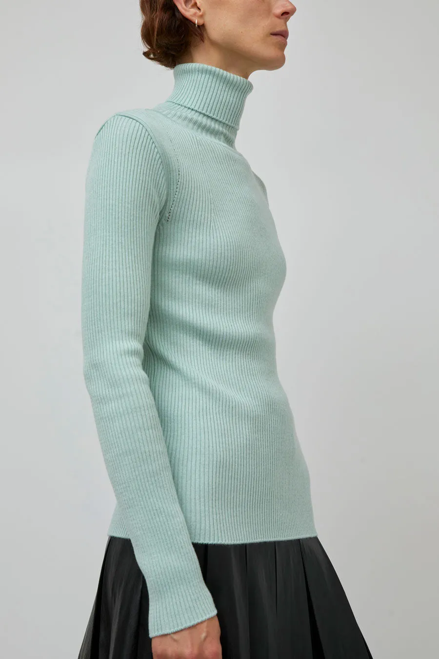 TONYWACK Slim-Fit Ribbed Turtleneck in Mint sold by No. 6 product image thumbnail 4