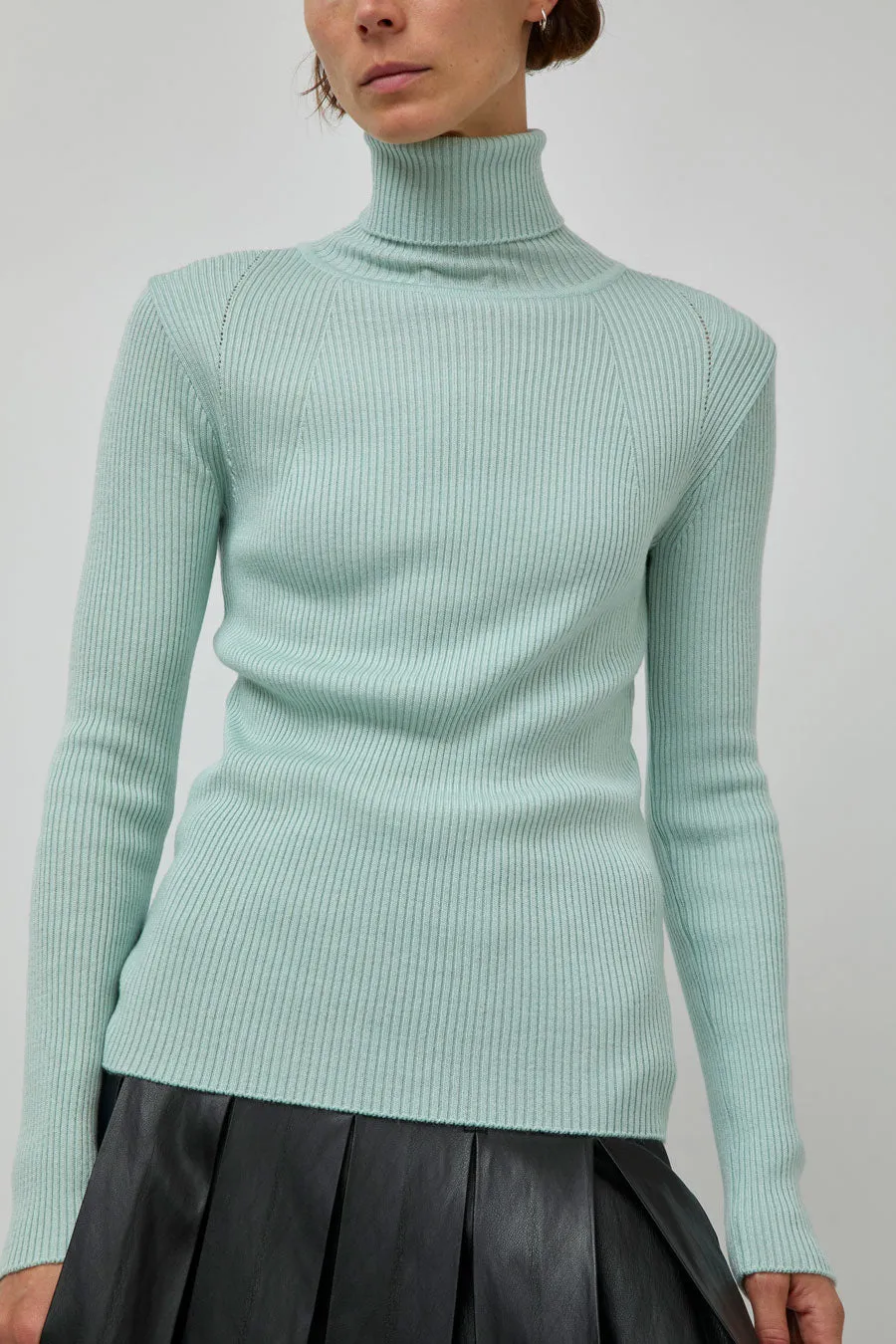 TONYWACK Slim-Fit Ribbed Turtleneck in Mint sold by No. 6 product image thumbnail 3
