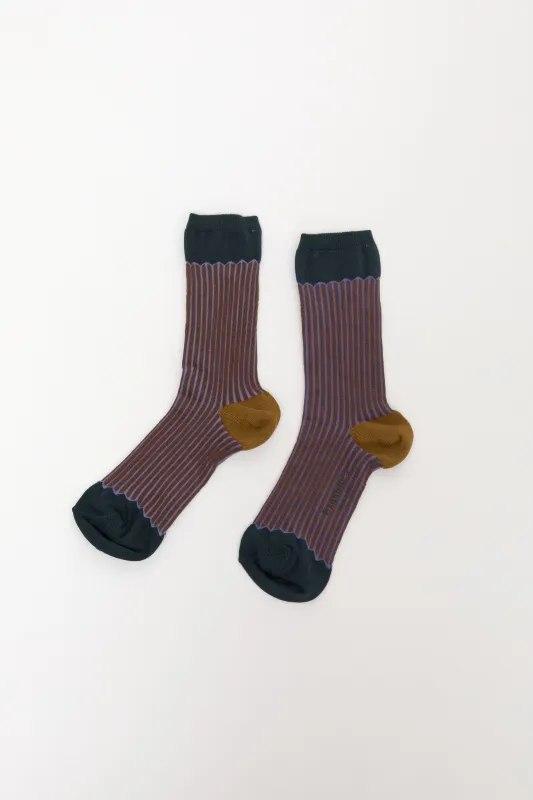 Exquisite J Multicolor Stripe Socks in Navy with Brown made by Exquisite J