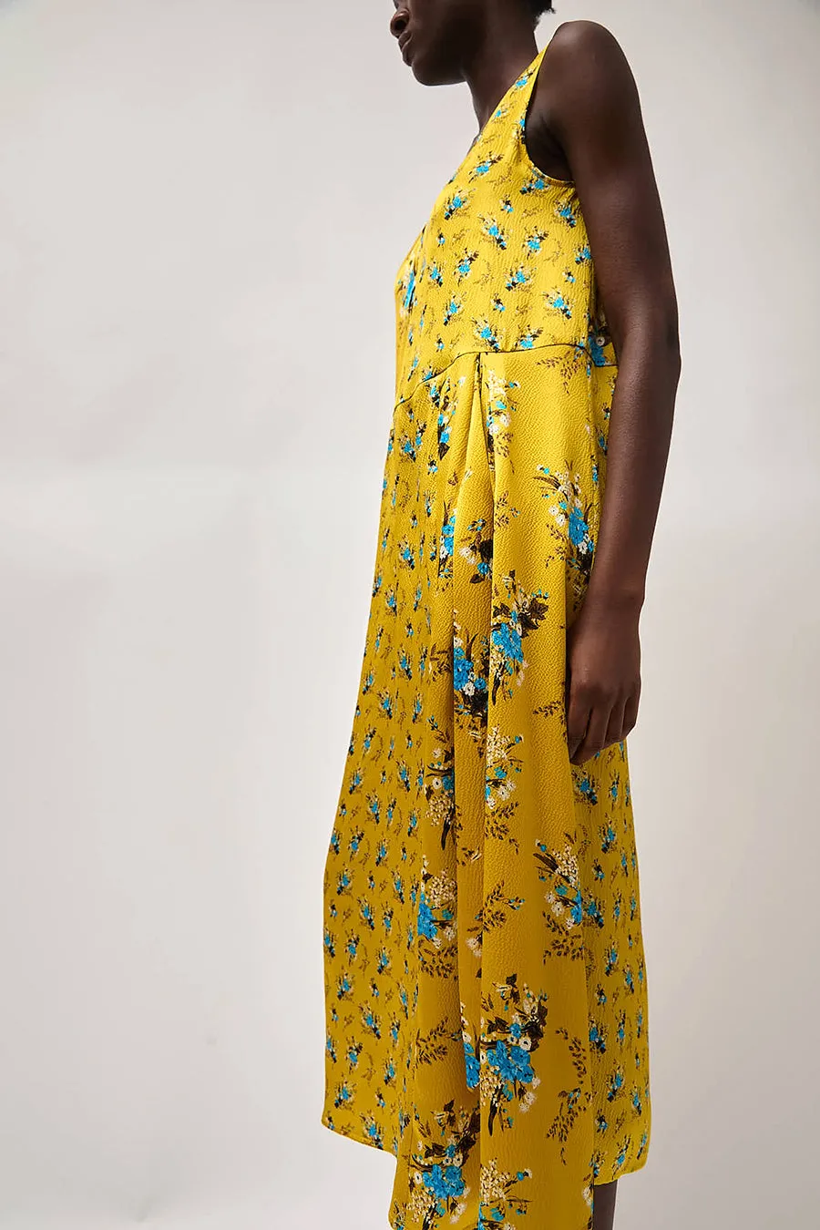 No.6 Orlean Dress in Gold Bouquet sold by No. 6 product image thumbnail 4