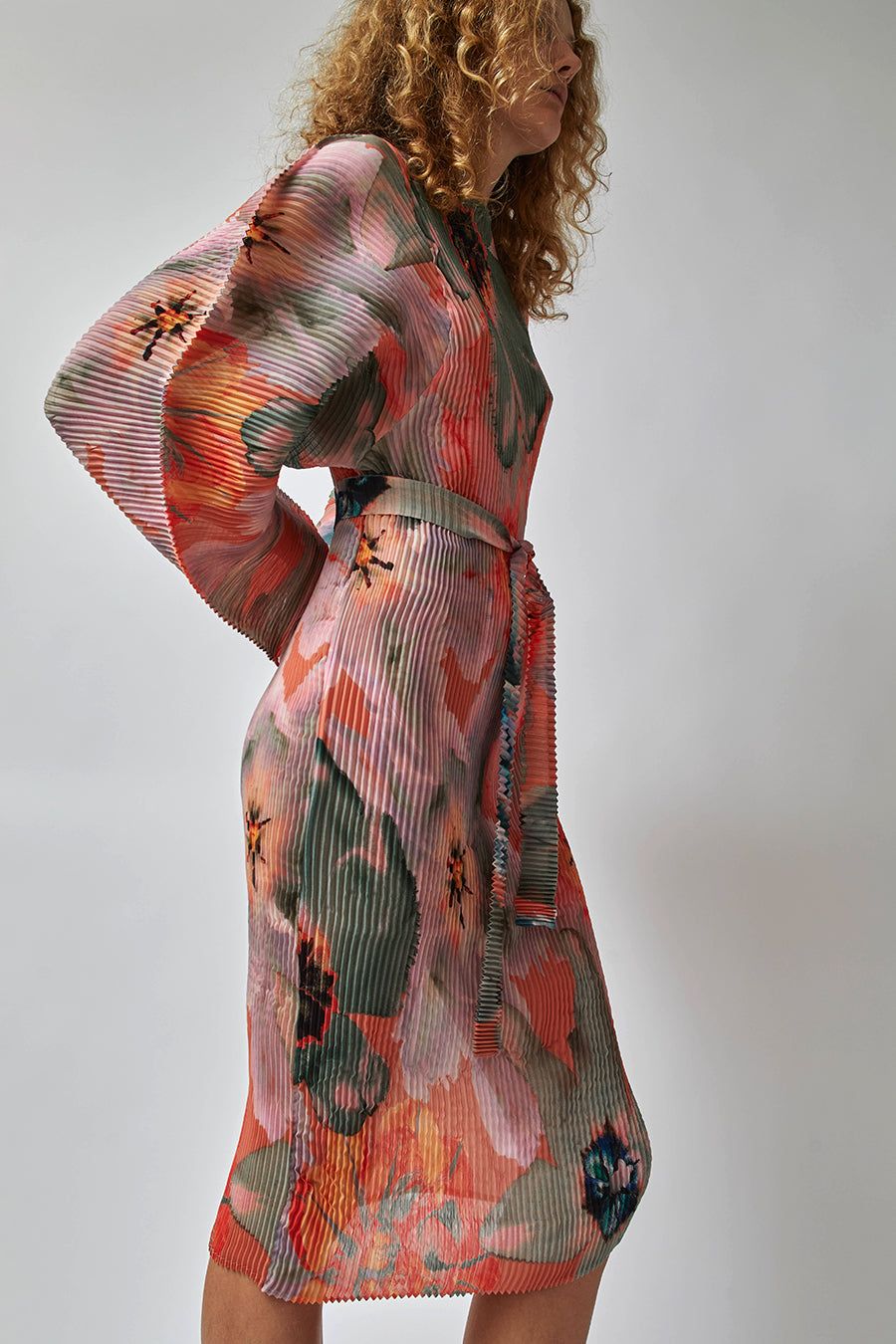 Julia Heuer Ramo Dress in Isa sold by No. 6 product image thumbnail 2