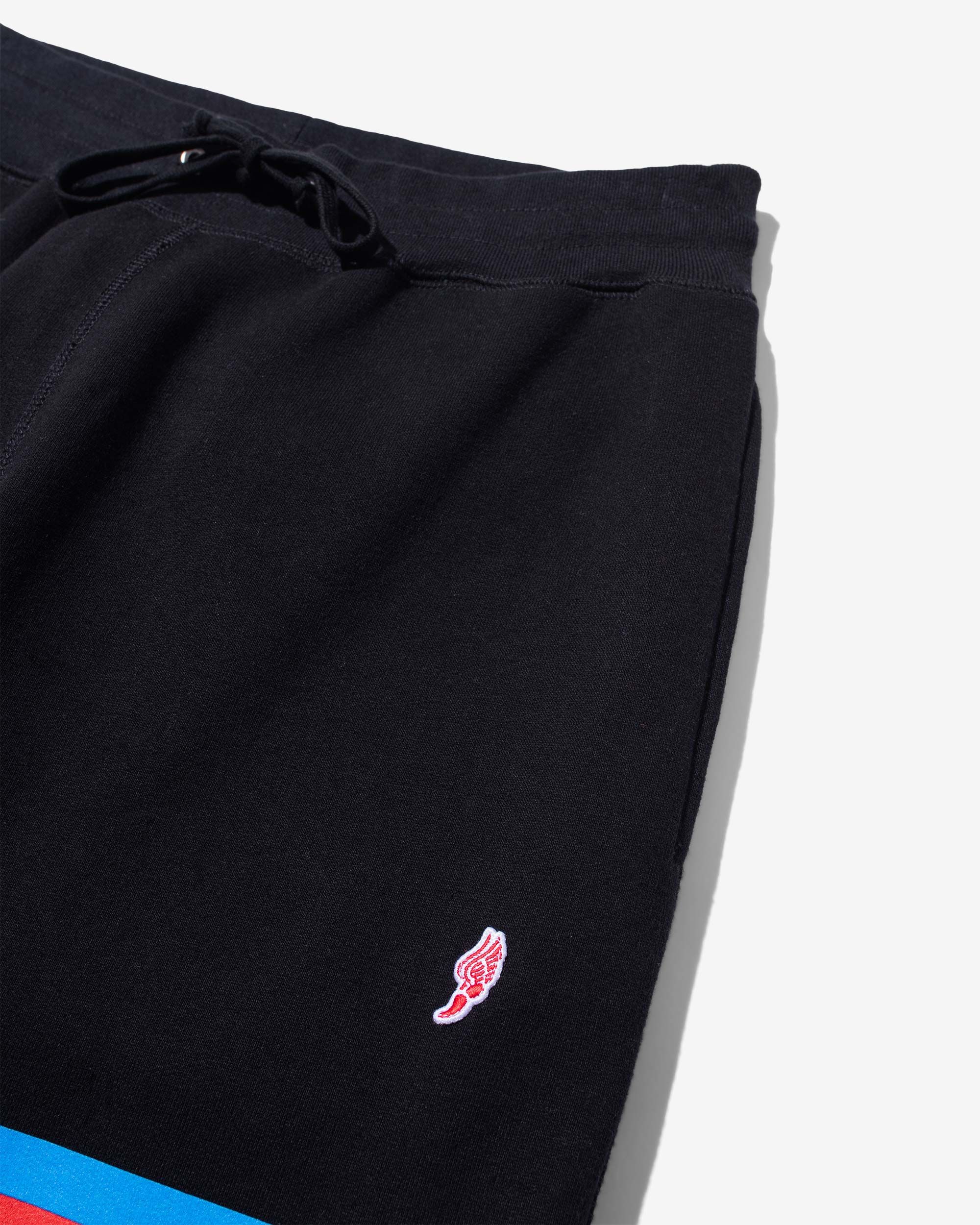 Champion Stripe Sweatpants sold by Noah NYC product image thumbnail 3