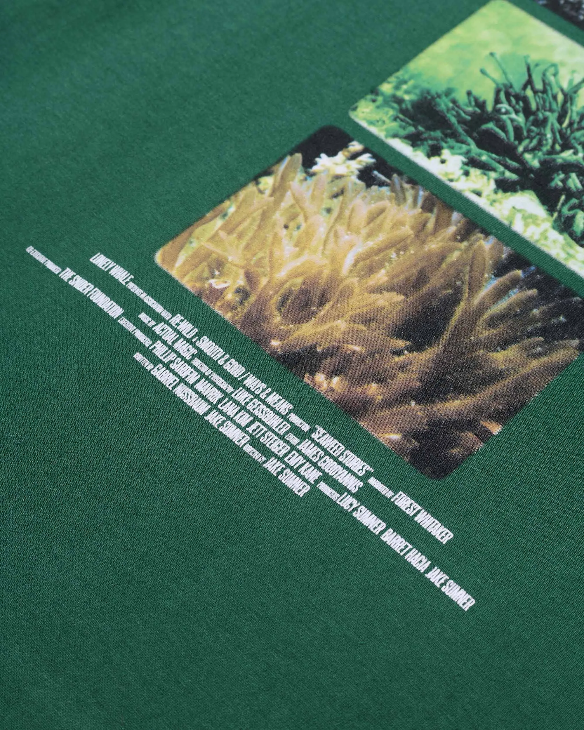 Seaweed Stories Tee sold by Noah NYC product image thumbnail 4