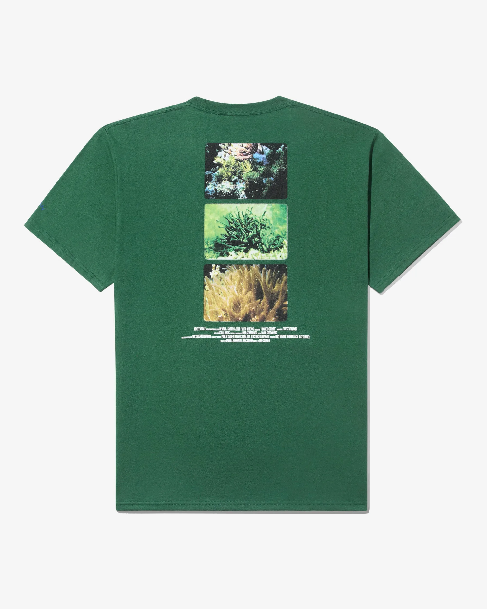 Seaweed Stories Tee sold by Noah NYC product image thumbnail 2