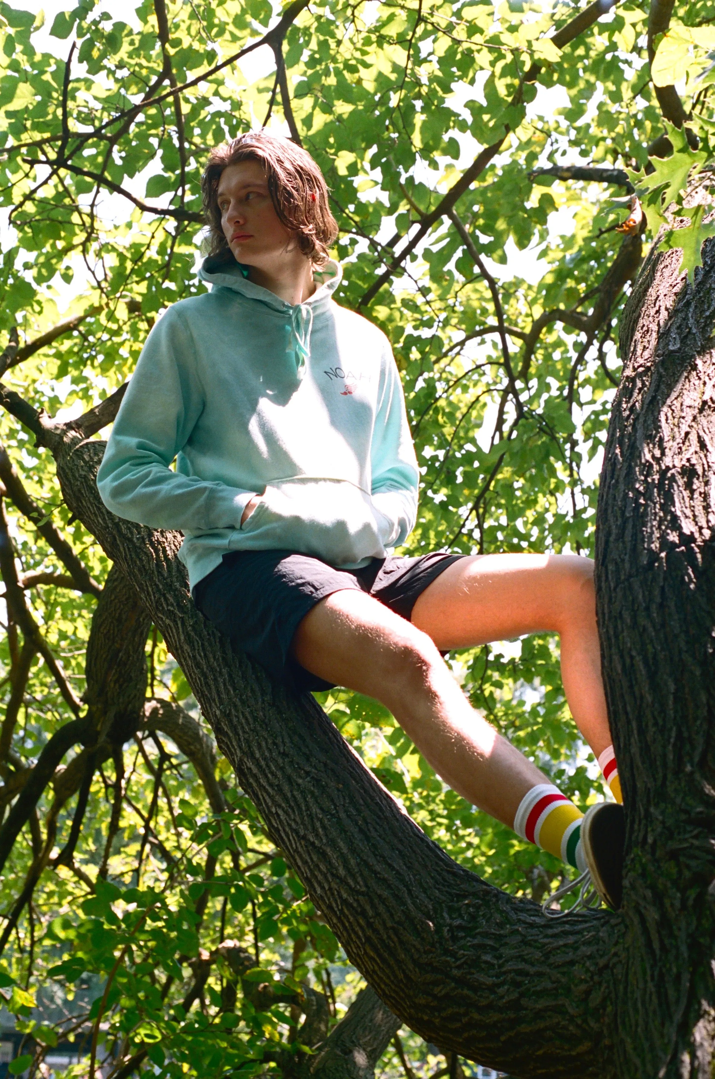 zzz-archive-SS 2019 sold by Noah NYC product image thumbnail 3