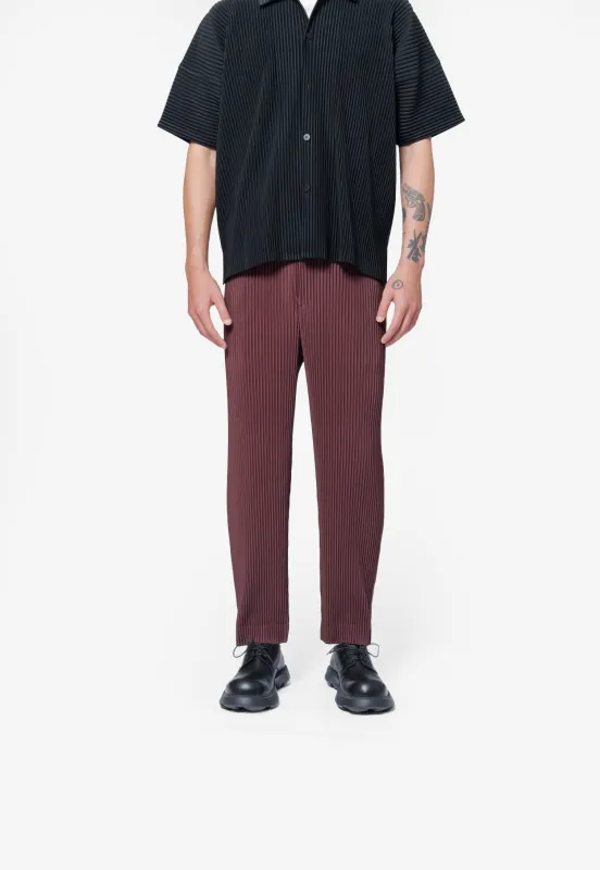 Colour Pleats Pant Edge Brown HP58-JF188-48 sold by Nomad