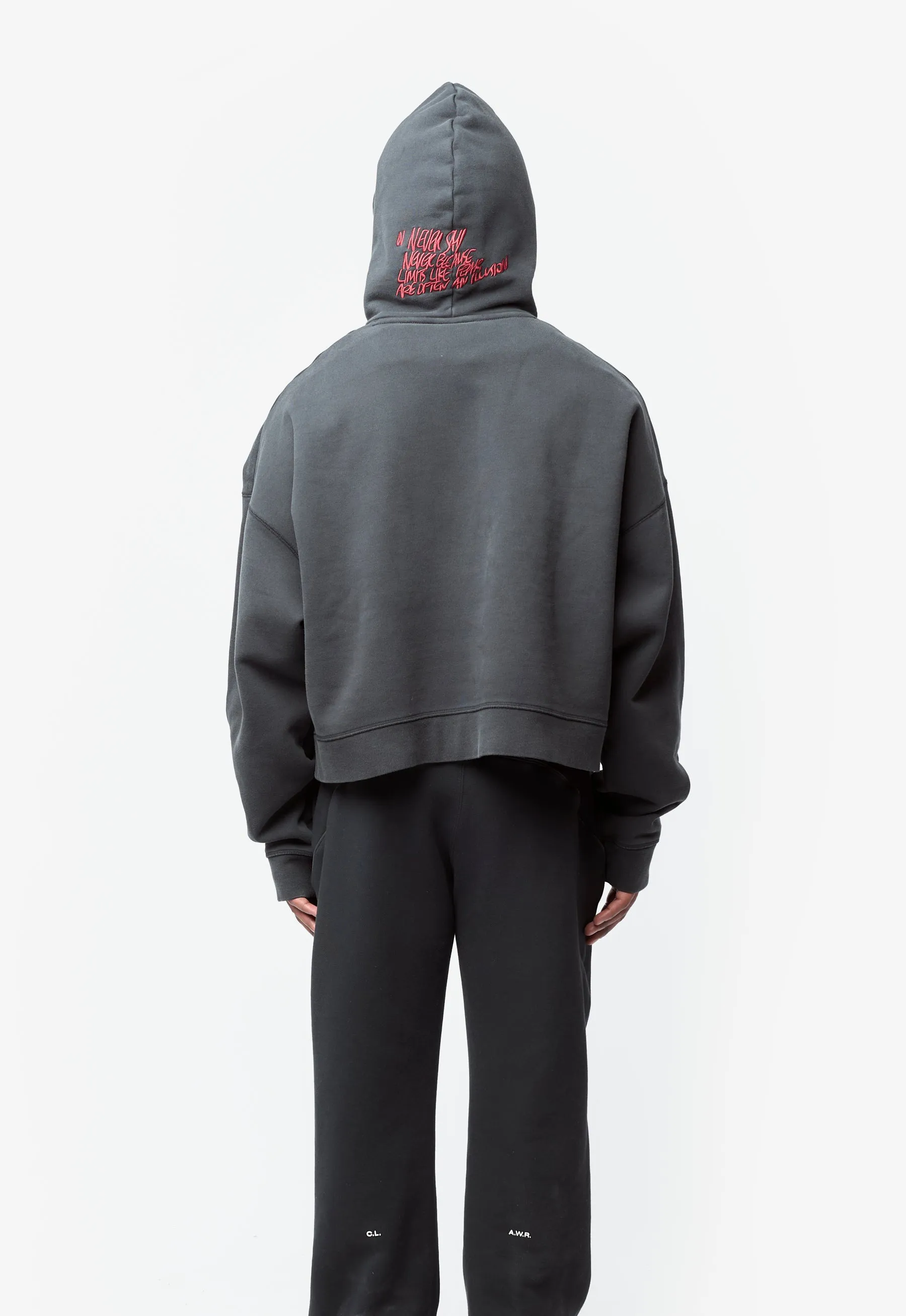 MJ IH Crop Hoodie Black/White IM7367-010 sold by Nomad product image thumbnail 5