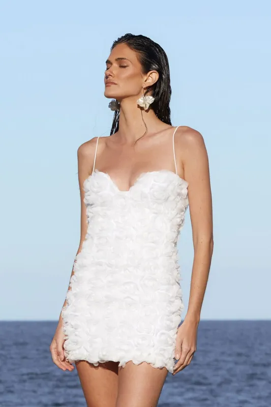 Juliette Mini sold by Nookie