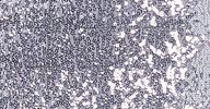 SEQUIN SWING TOP sold by Norma Kamali product image thumbnail 7