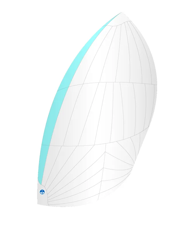 RS 21 A-2 ASYMMETRIC sold by North Sails