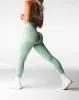 Matcha Edge Seamless Leggings sold by NVGTN