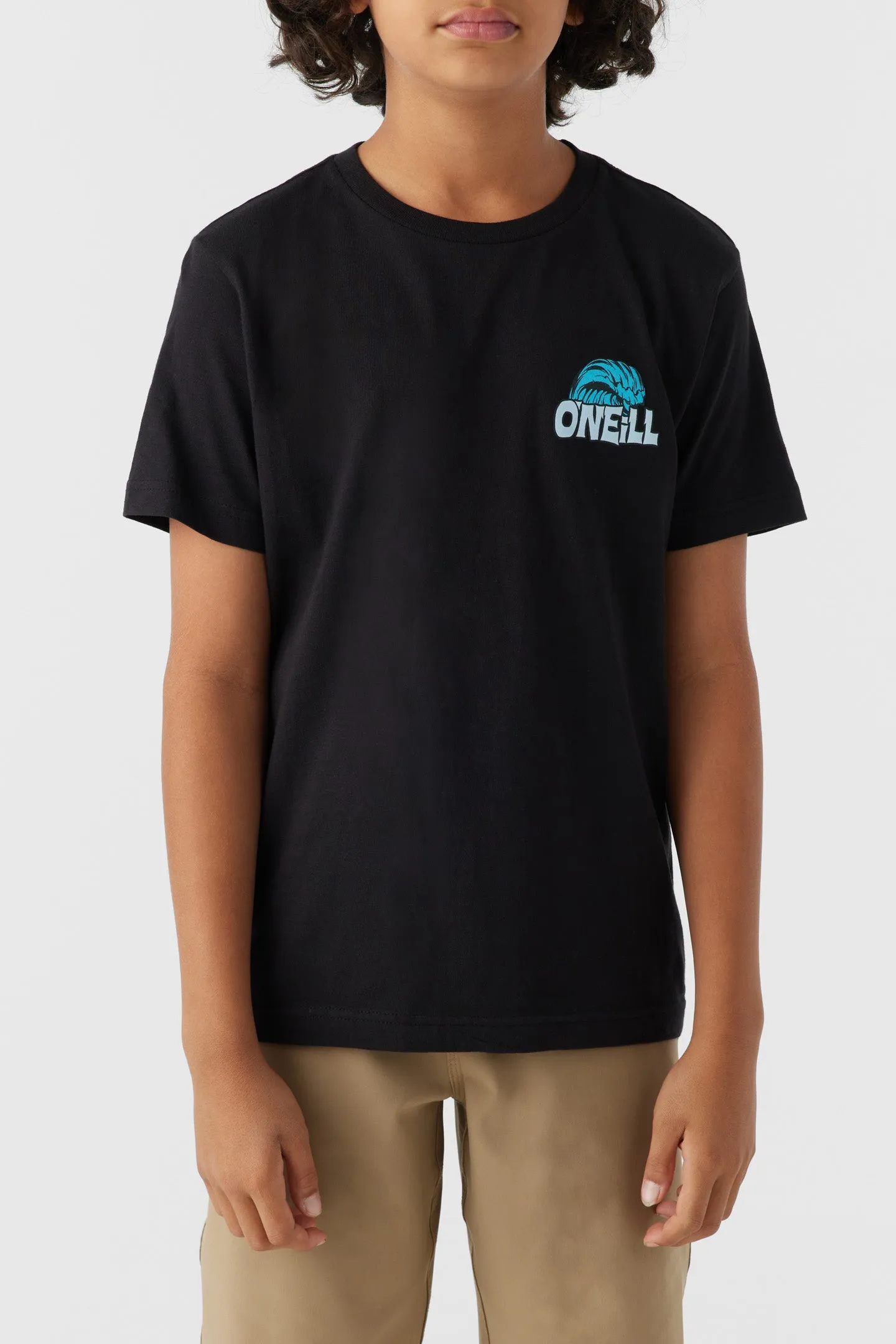 BOY'S LEDGE TEE sold by O'Neill product image thumbnail 2