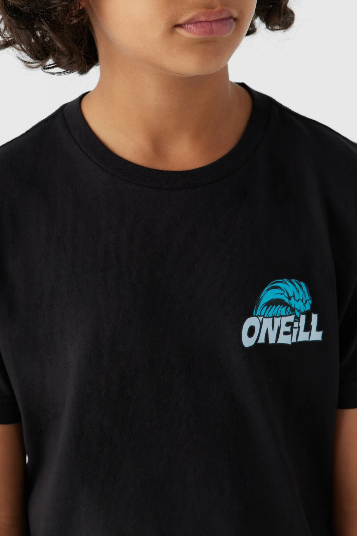 BOY'S LEDGE TEE sold by O'Neill product image thumbnail 3