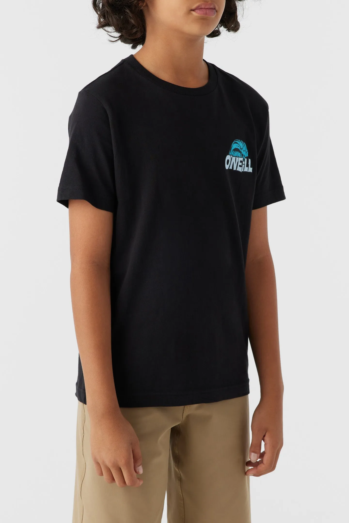 BOY'S LEDGE TEE sold by O'Neill product image thumbnail 4