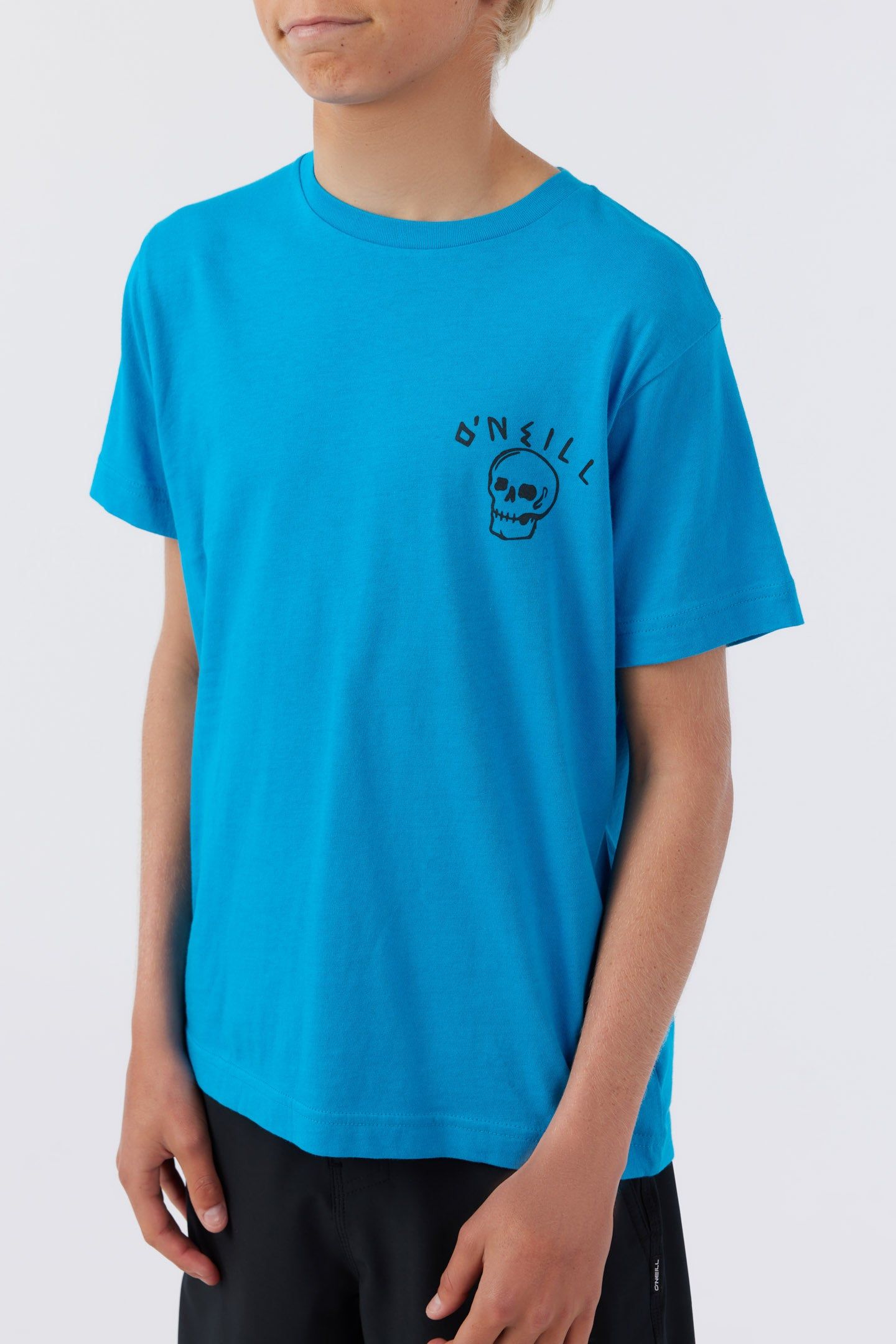 BOY'S BEACH FOSSIL TEE sold by O'Neill product image thumbnail 3