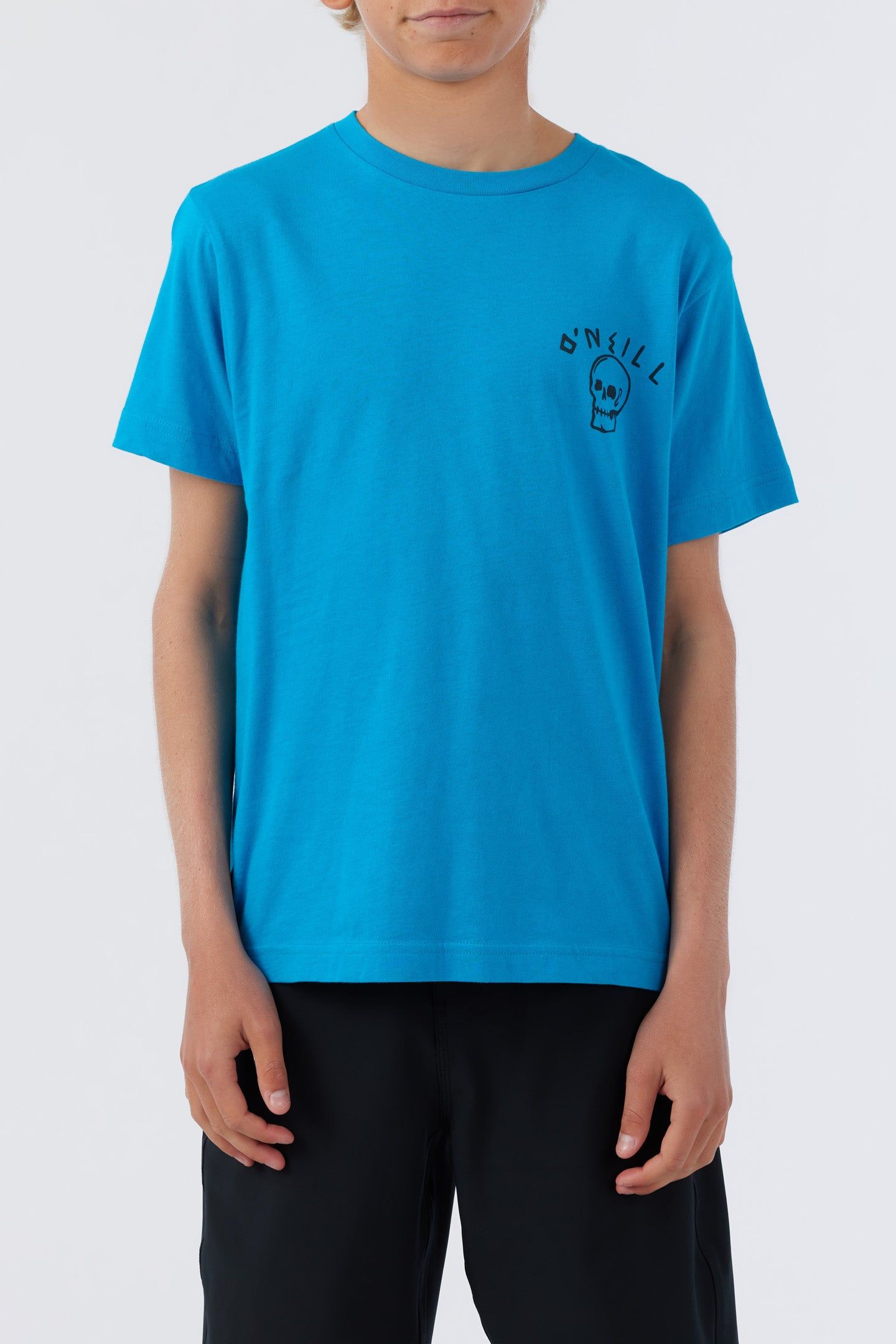 BOY'S BEACH FOSSIL TEE sold by O'Neill product image thumbnail 2