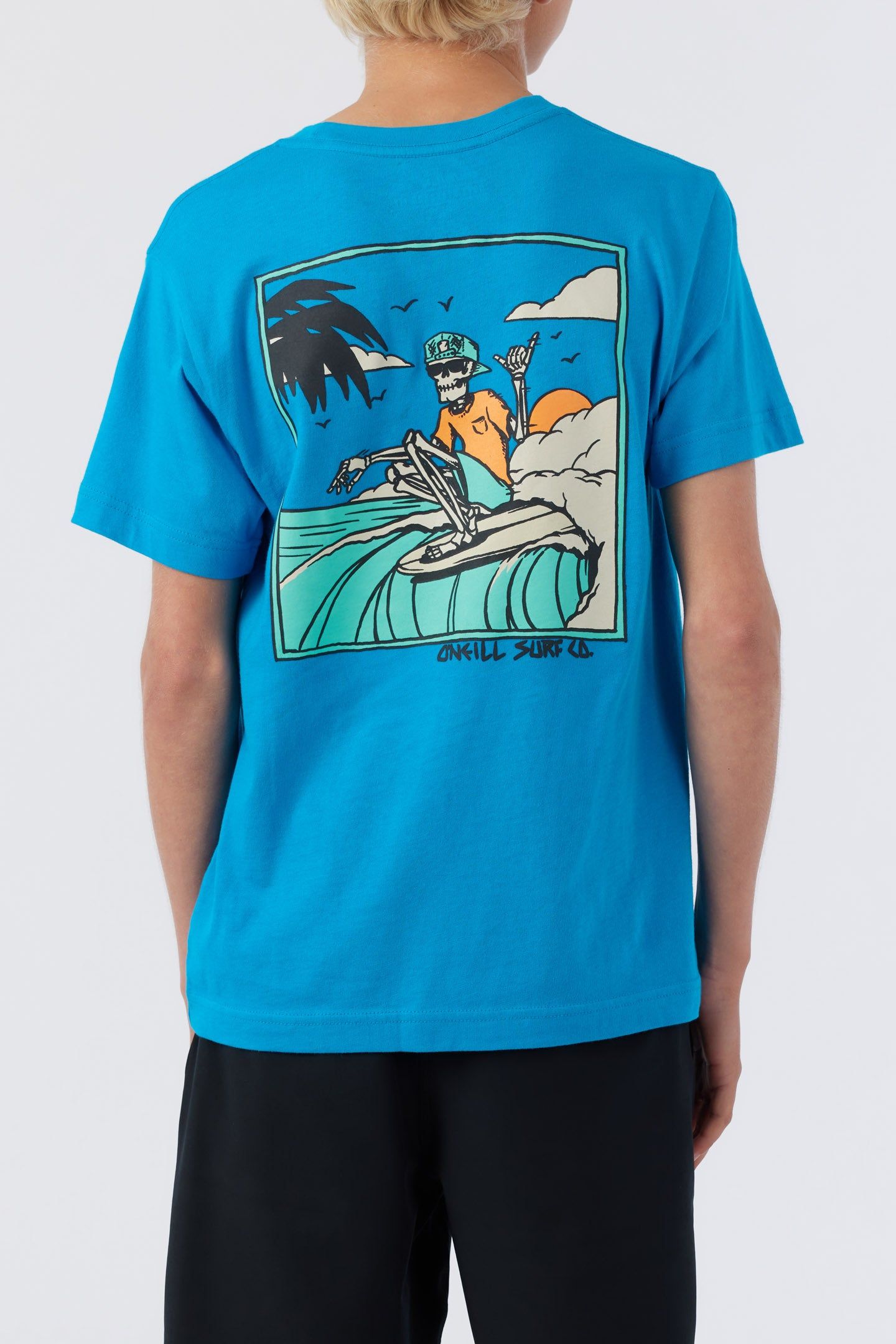 BOY'S BEACH FOSSIL TEE sold by O'Neill product image thumbnail 4