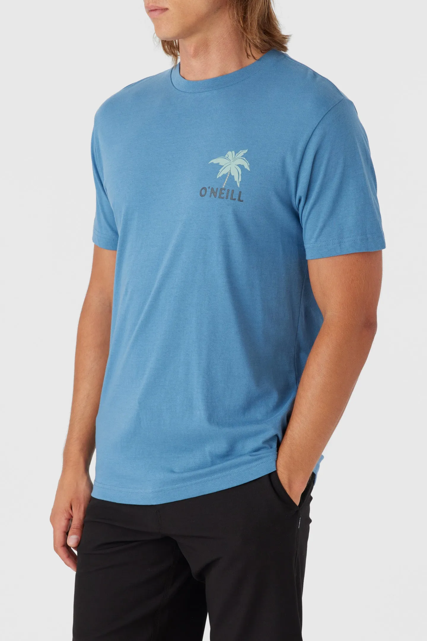 DIAMOND LIFE TEE sold by O'Neill product image thumbnail 4