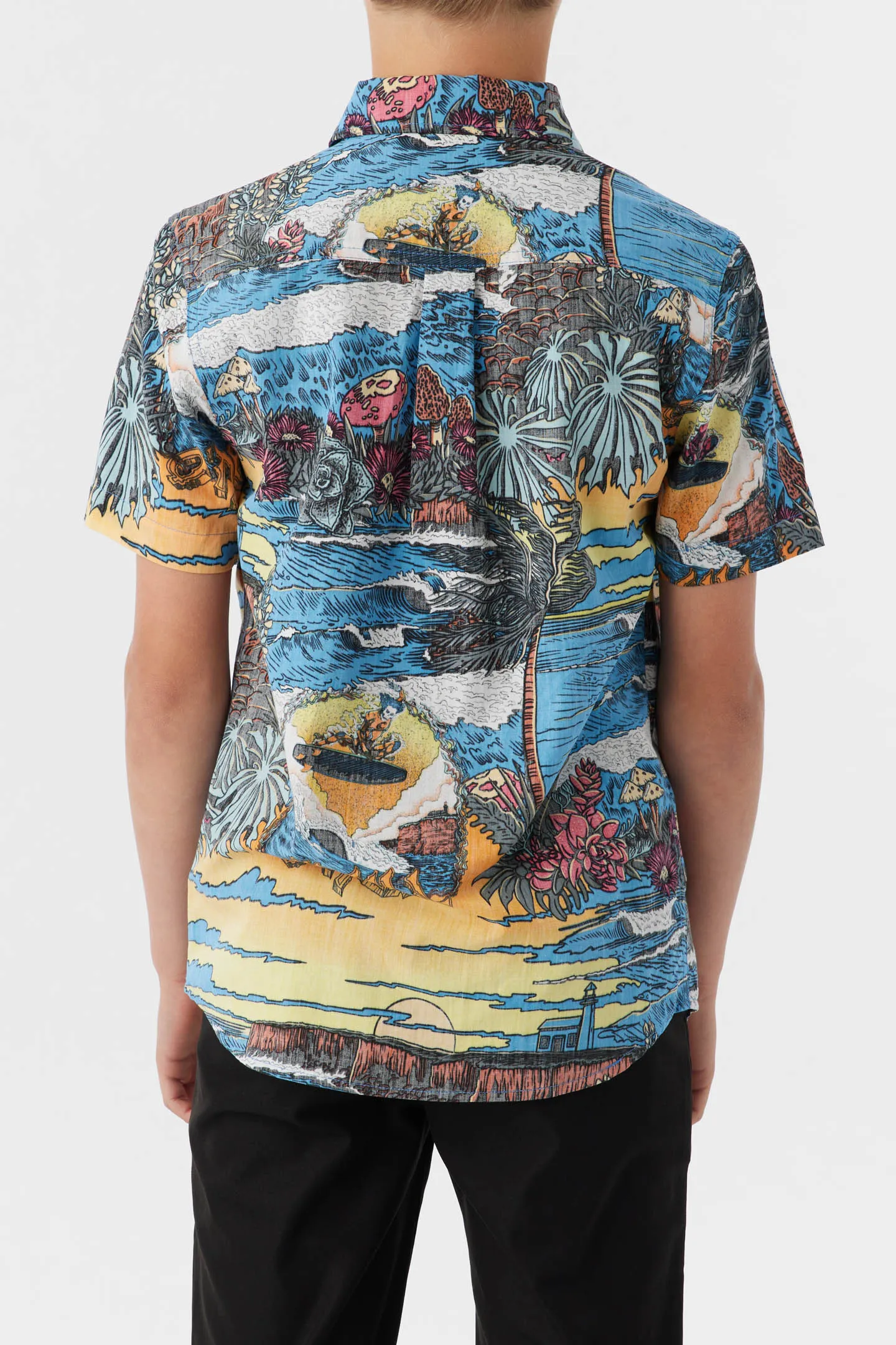 BOY'S ARTIST OASIS ECO STANDARD SHIRT sold by O'Neill product image thumbnail 5
