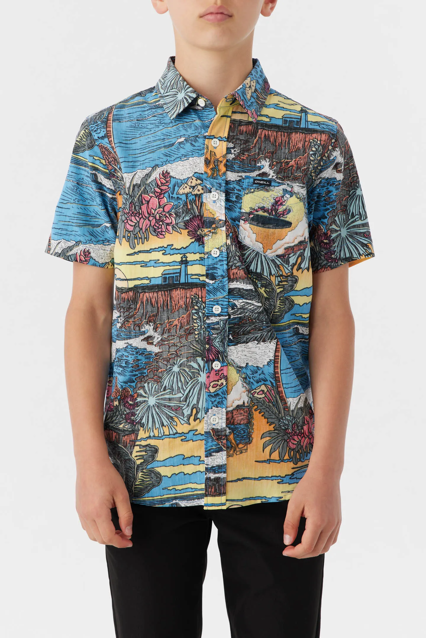 BOY'S ARTIST OASIS ECO STANDARD SHIRT sold by O'Neill product image thumbnail 2