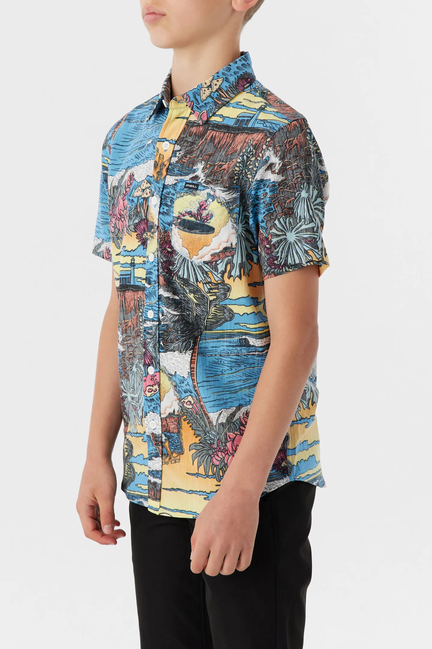 BOY'S ARTIST OASIS ECO STANDARD SHIRT sold by O'Neill product image thumbnail 4