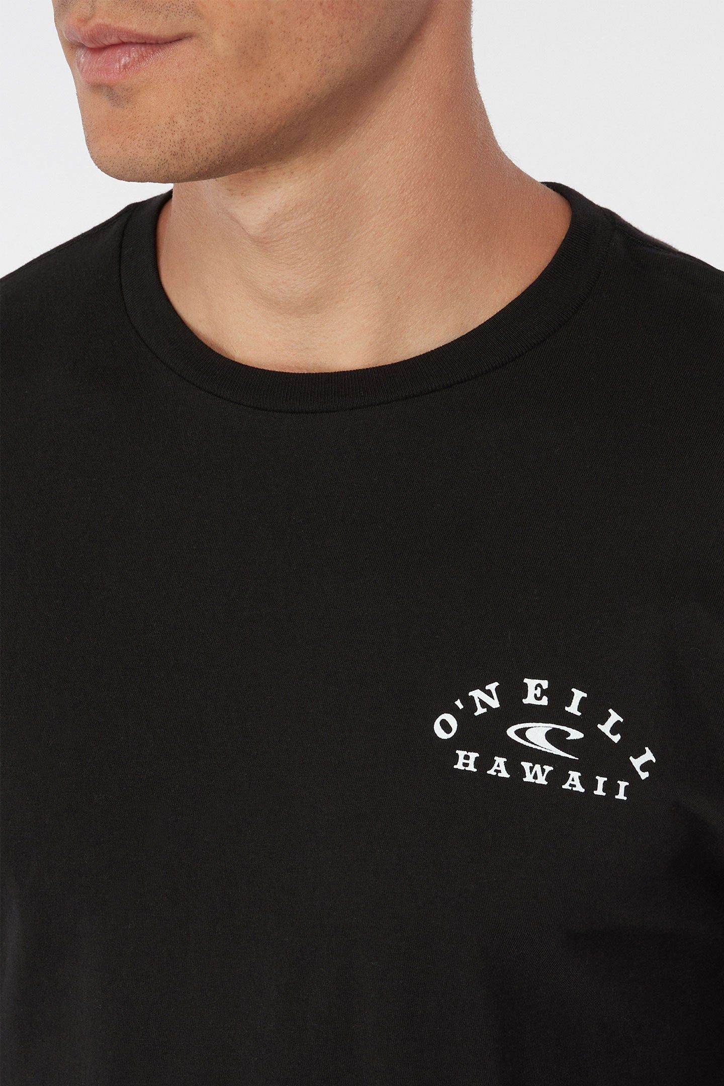 PLATE LUNCH LONG SLEEVE TEE sold by O'Neill product image thumbnail 4