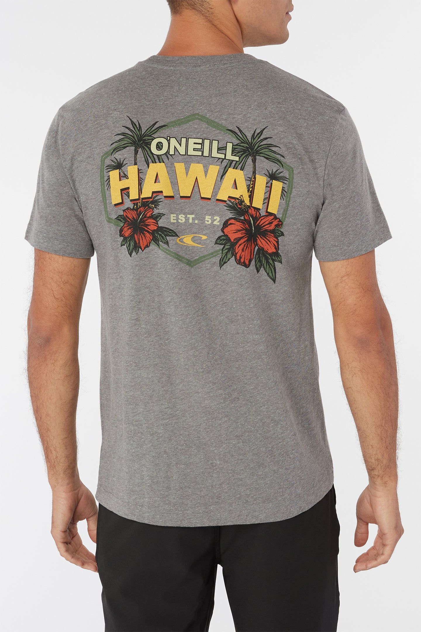 TUMBLELANDS TEE sold by O'Neill product image thumbnail 2