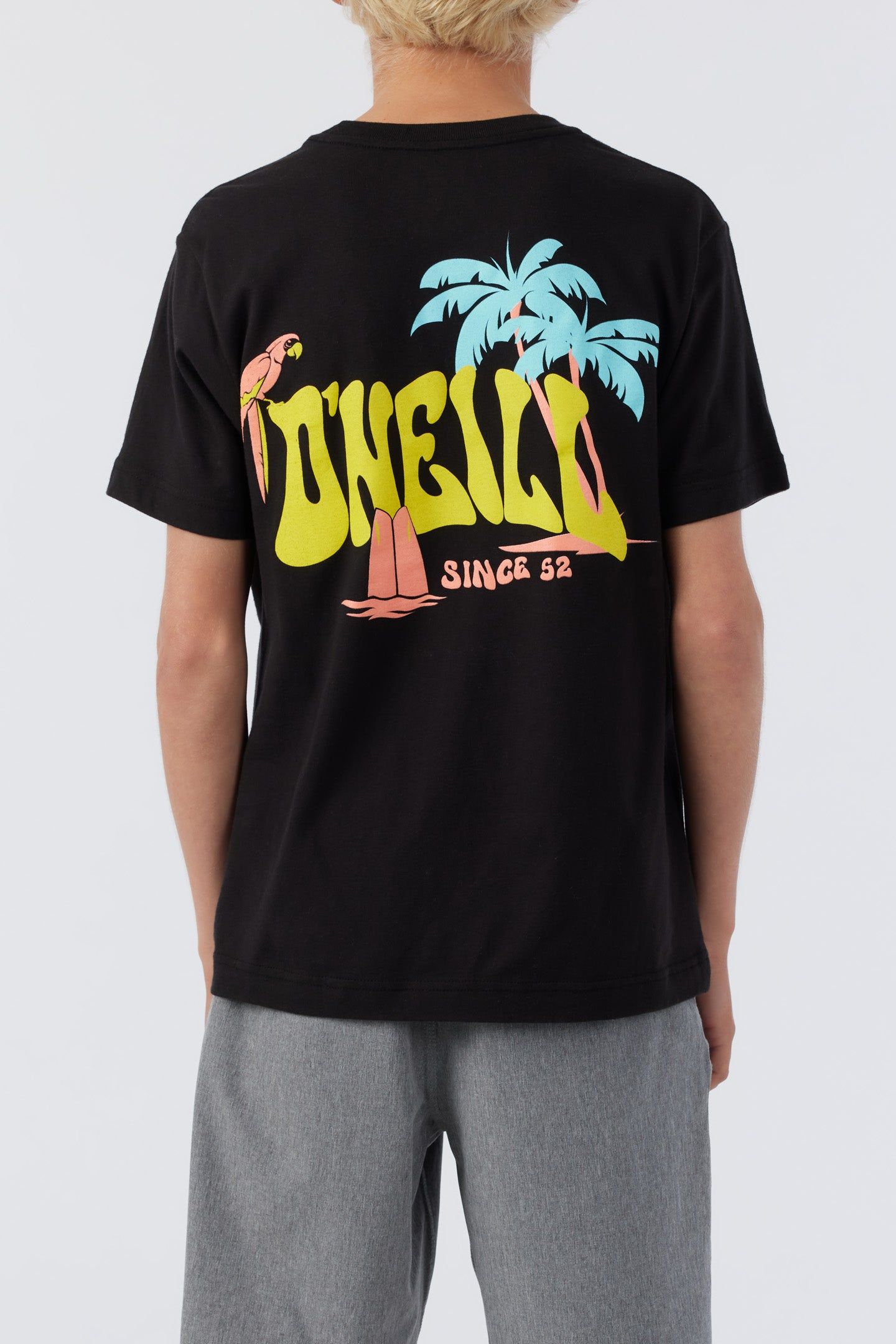 BOY'S LAGGER TEE sold by O'Neill product image thumbnail 4