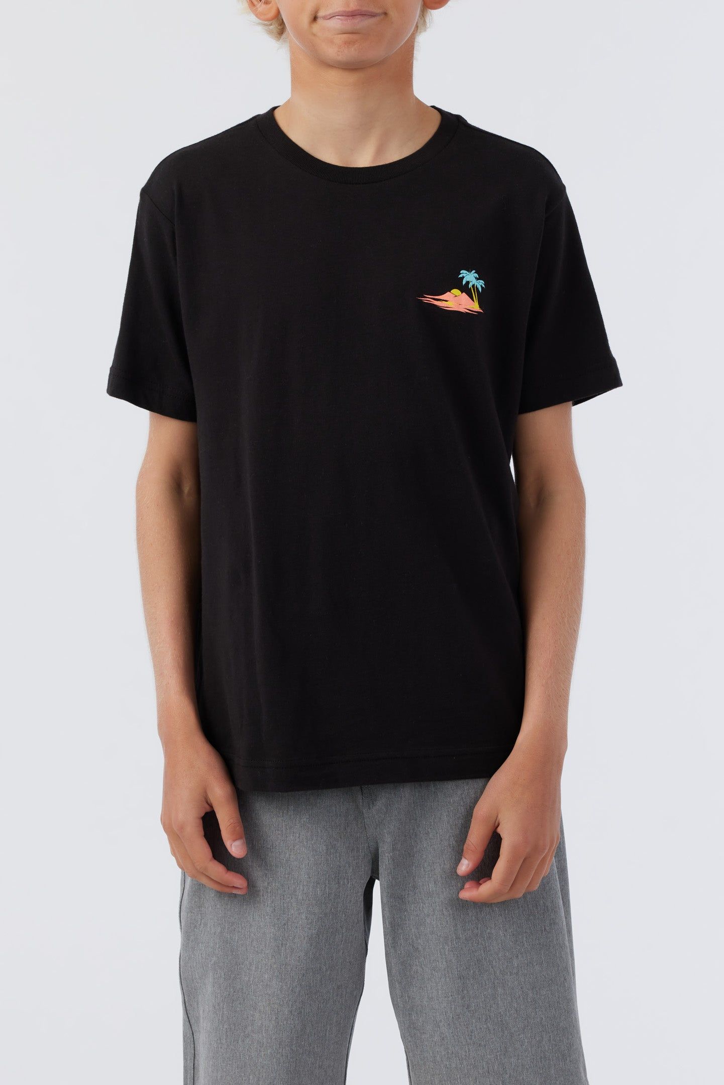 BOY'S LAGGER TEE sold by O'Neill product image thumbnail 2