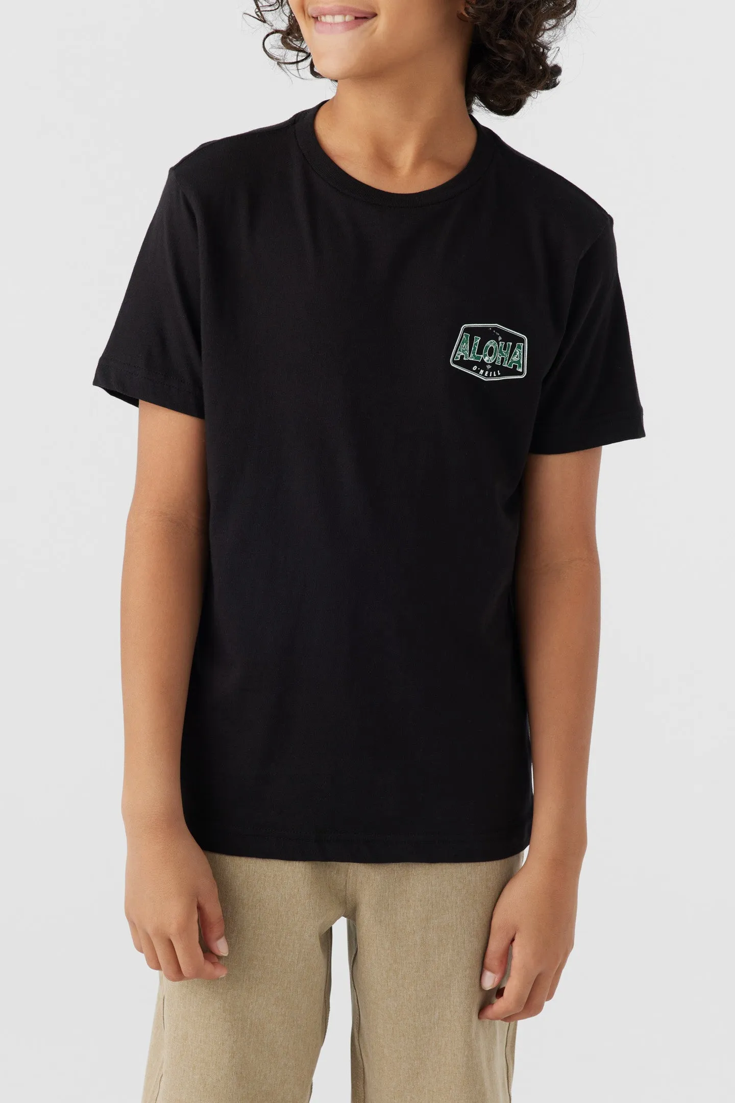 BOY'S BIG ALOHA TEE sold by O'Neill product image thumbnail 2