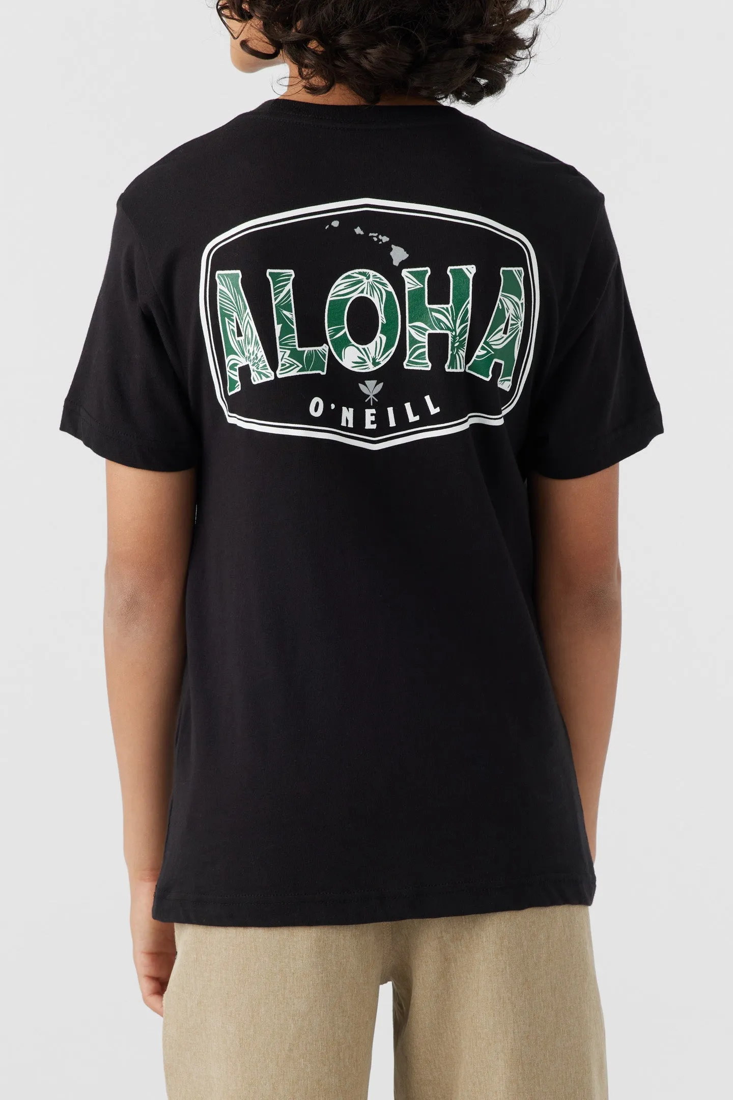 BOY'S BIG ALOHA TEE sold by O'Neill product image thumbnail 4