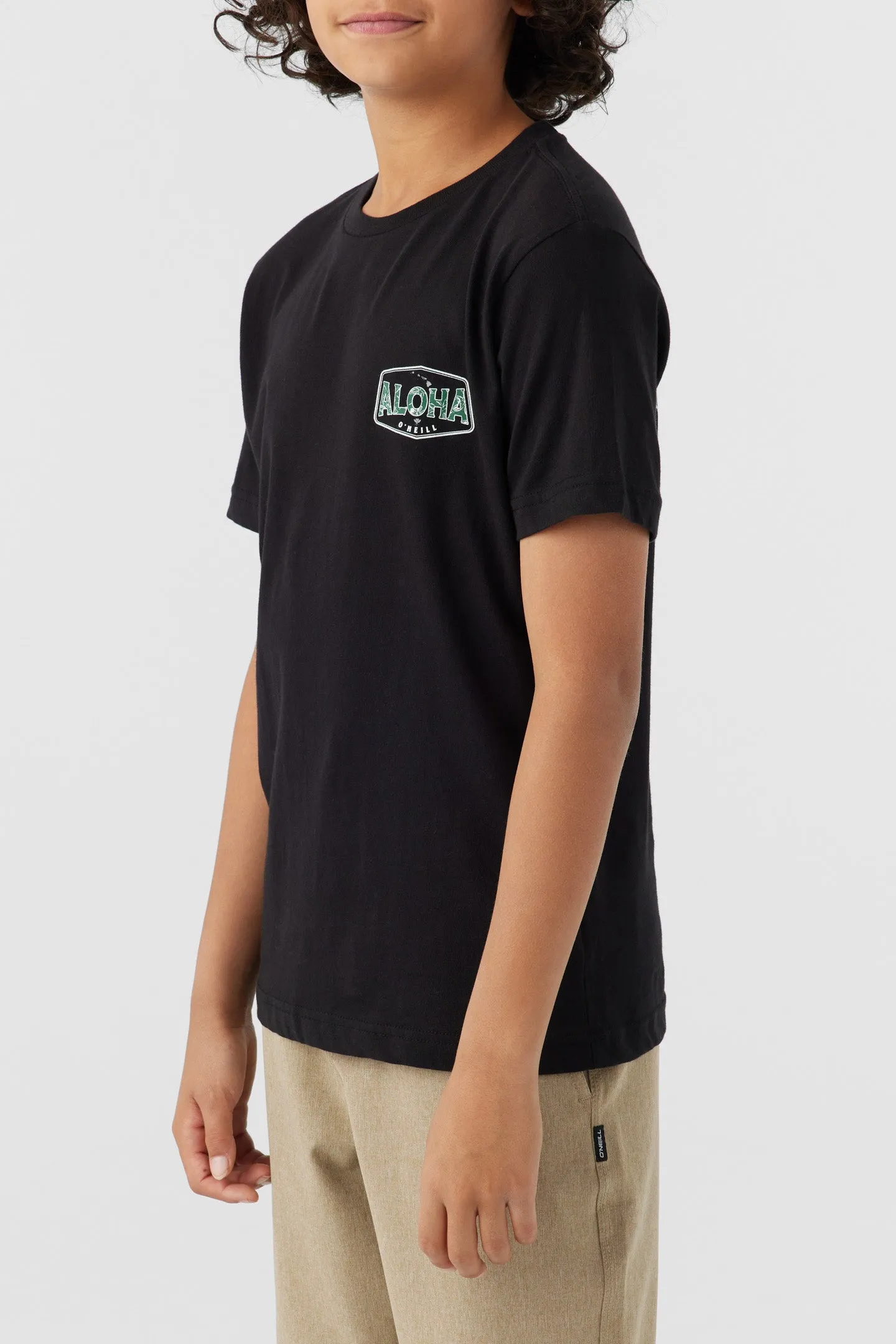 BOY'S BIG ALOHA TEE sold by O'Neill product image thumbnail 3