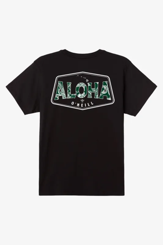 BOY'S BIG ALOHA TEE sold by O'Neill