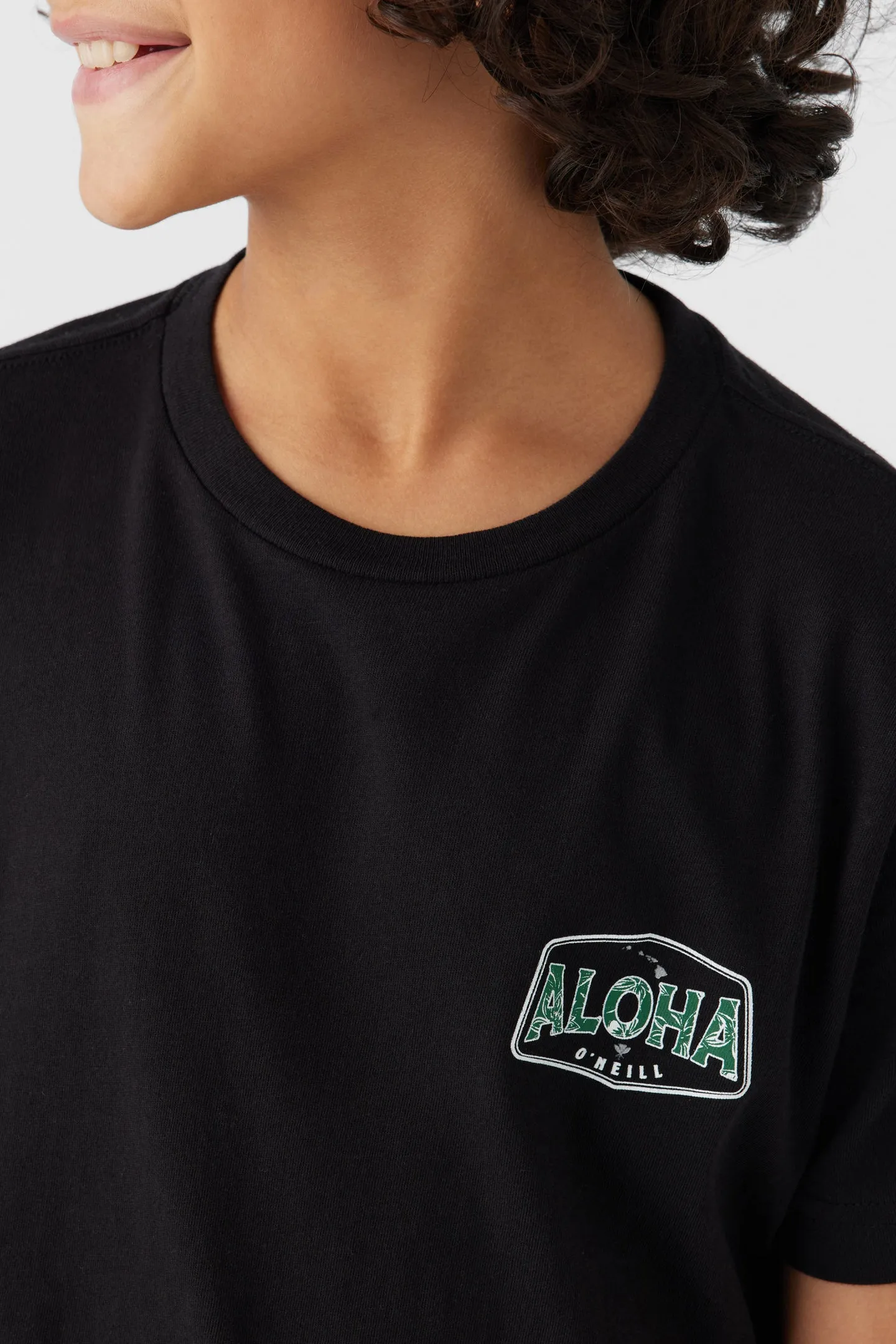 BOY'S BIG ALOHA TEE sold by O'Neill product image thumbnail 5