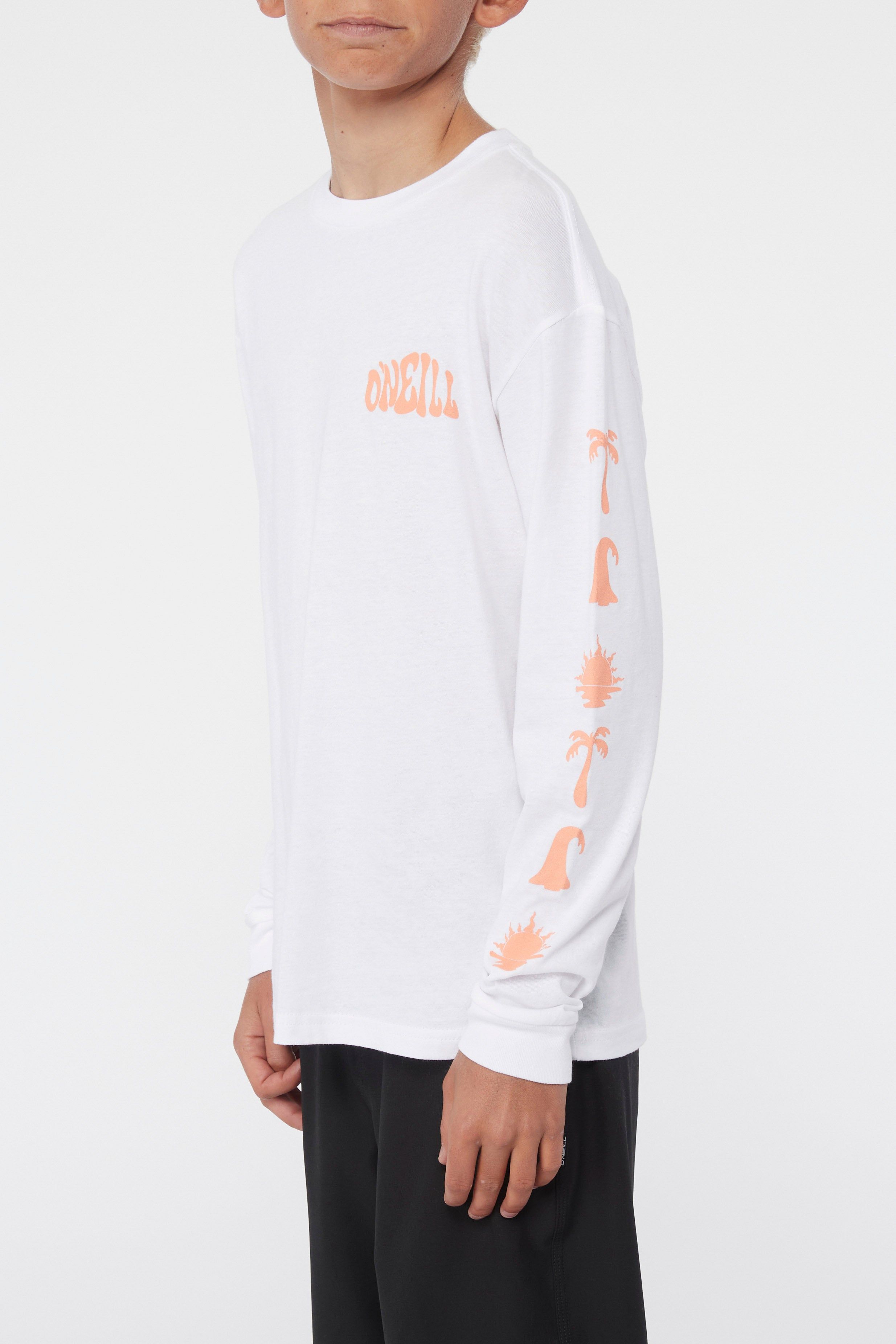 BOY'S NOODLER LONG SLEEVE TEE sold by O'Neill product image thumbnail 3