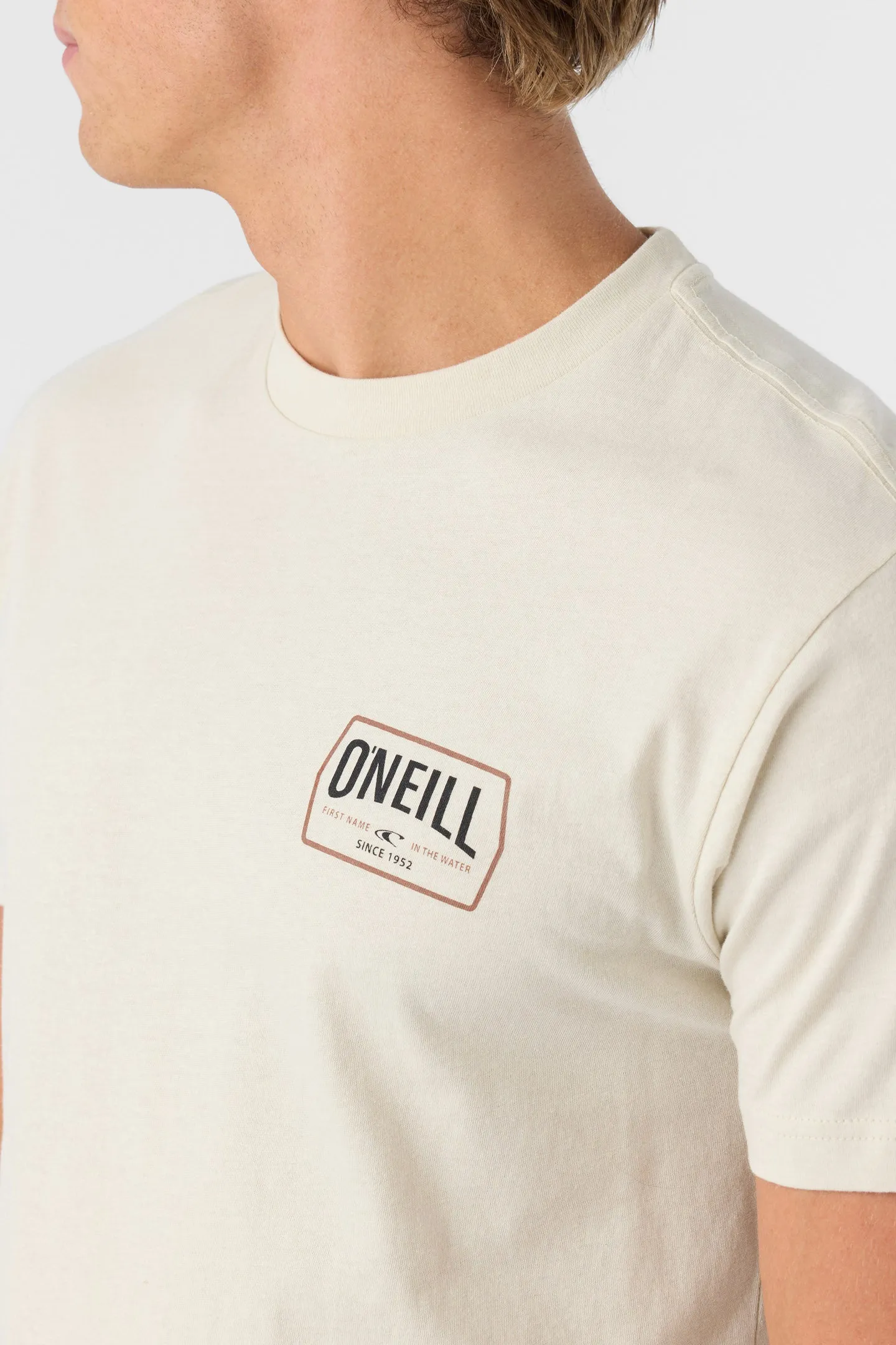 DITHER STANDARD FIT TEE sold by O'Neill product image thumbnail 4