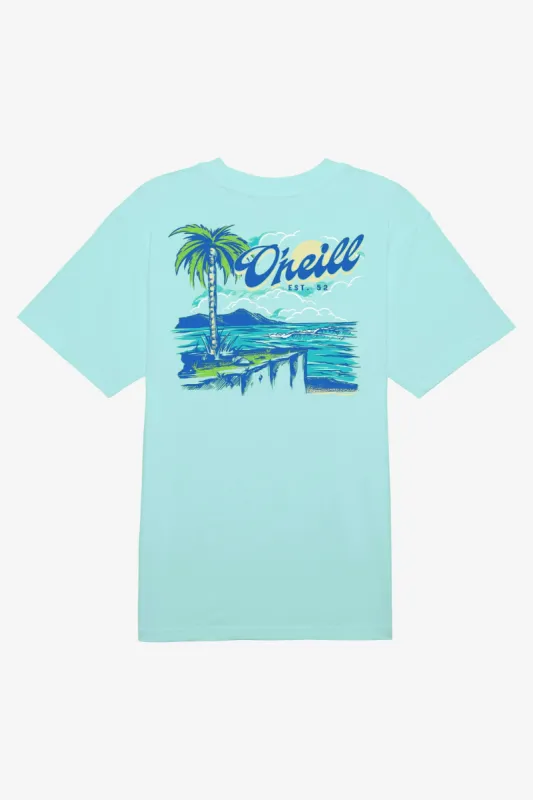 SCENIC TEE sold by O'Neill