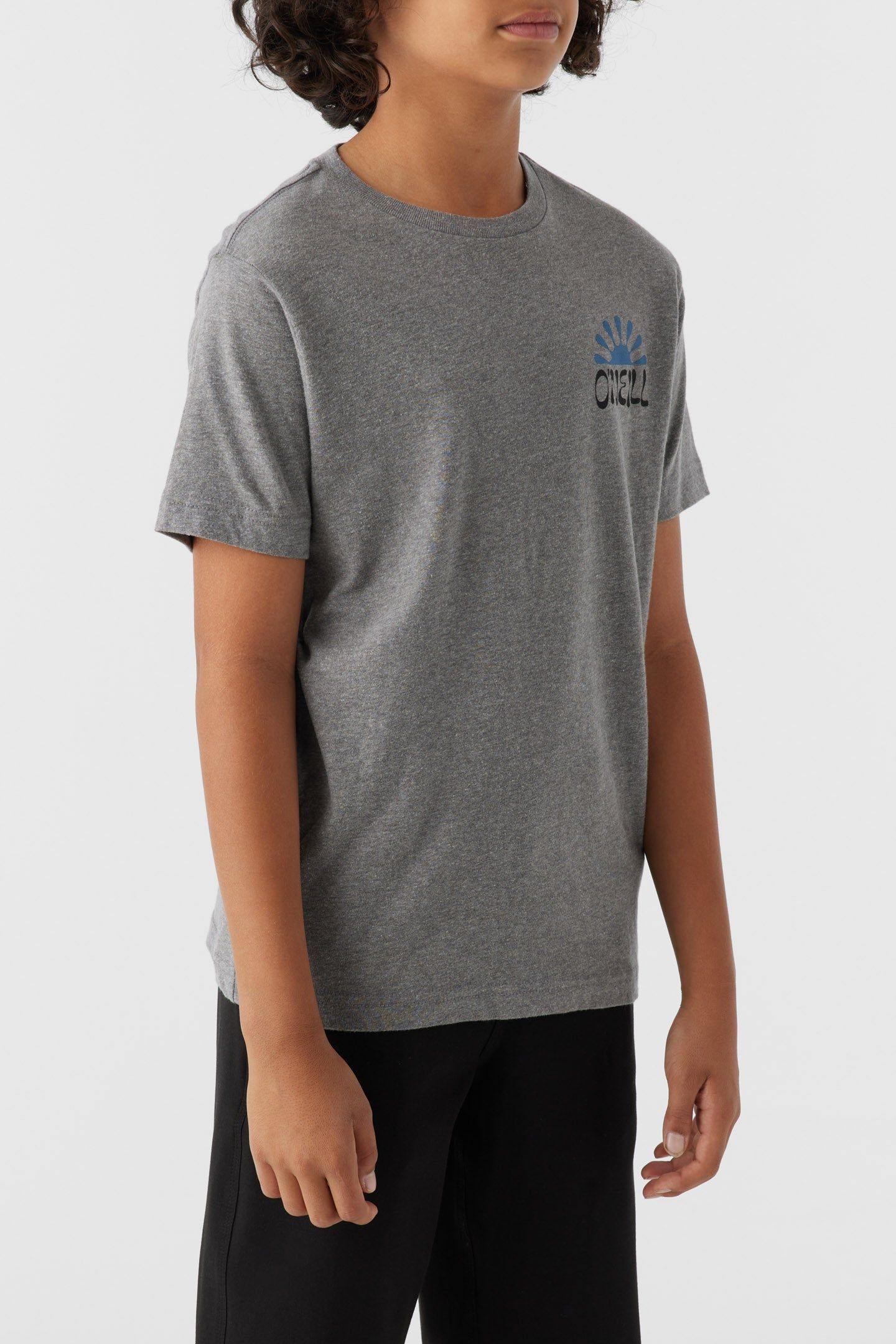 BOY'S HUCKLEBERRY TEE sold by O'Neill product image thumbnail 4