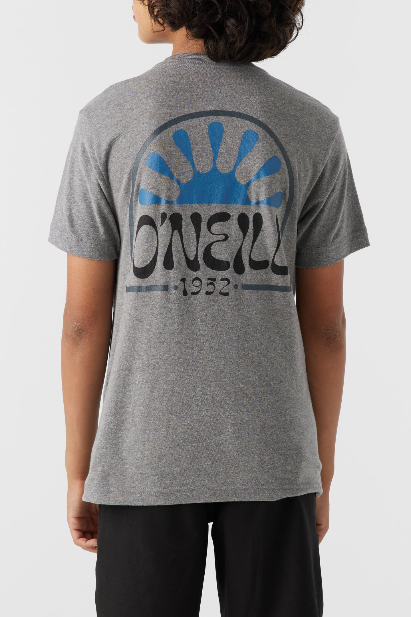 BOY'S HUCKLEBERRY TEE sold by O'Neill product image thumbnail 5