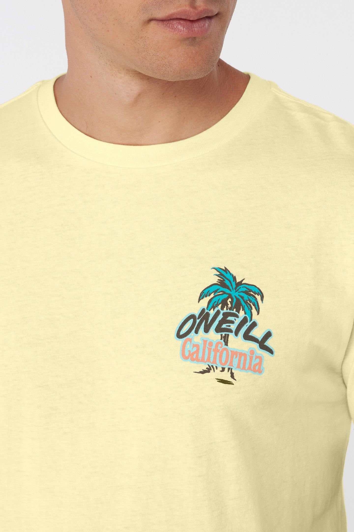CALI COAST TEE sold by O'Neill product image thumbnail 4