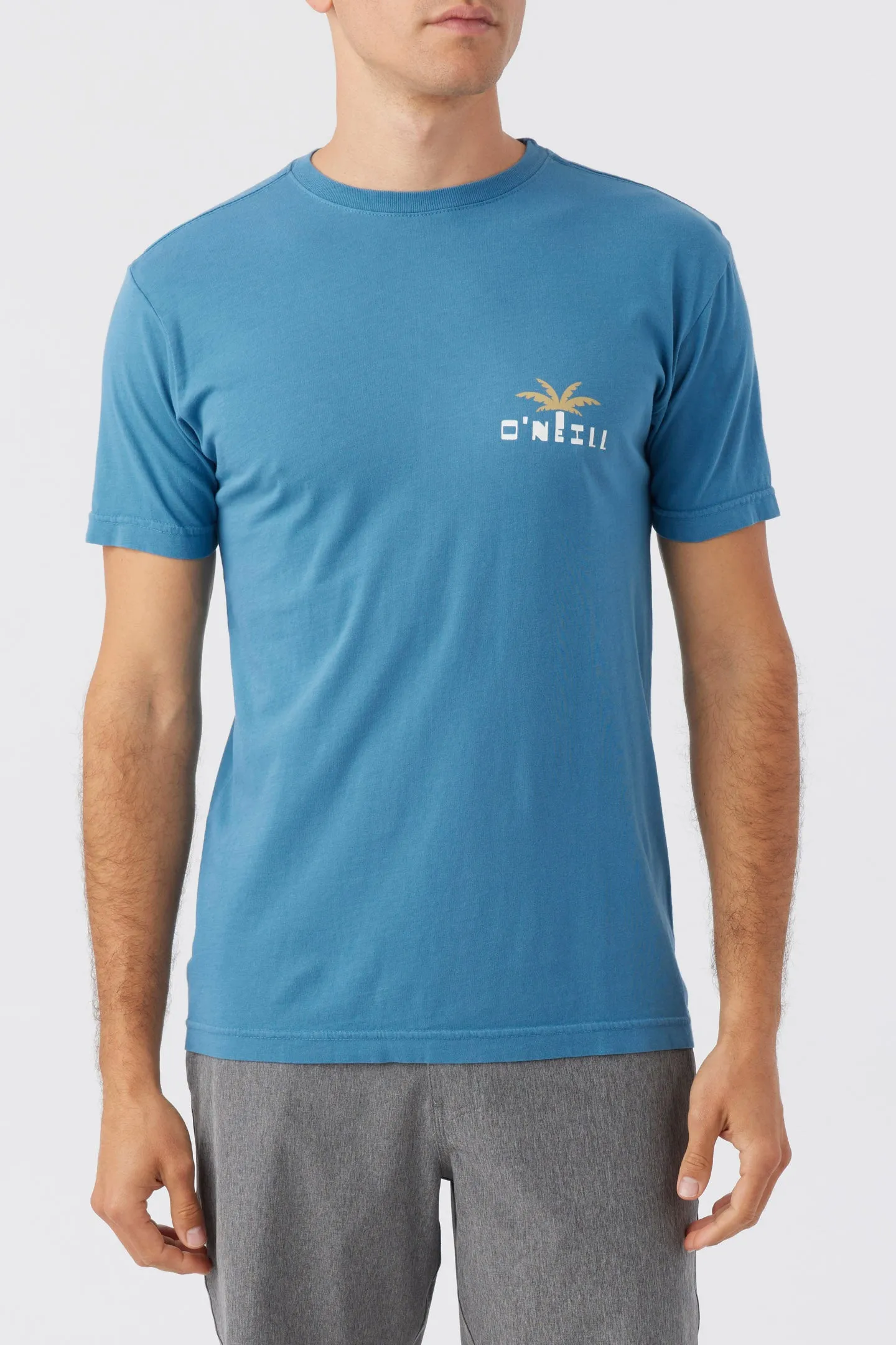 ALLIANCE TEE sold by O'Neill product image thumbnail 2