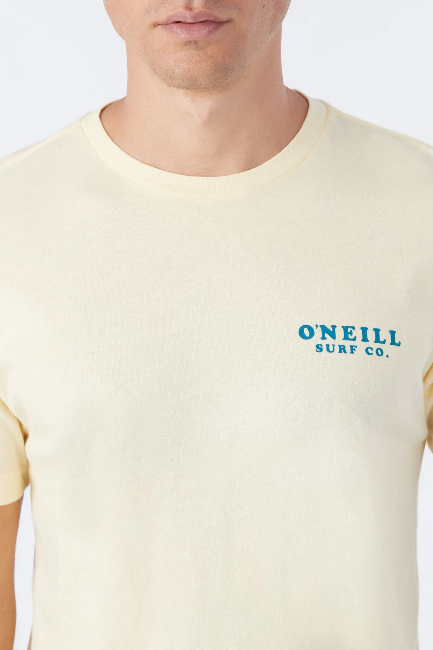 SAN FELIPE TEE sold by O'Neill product image thumbnail 4
