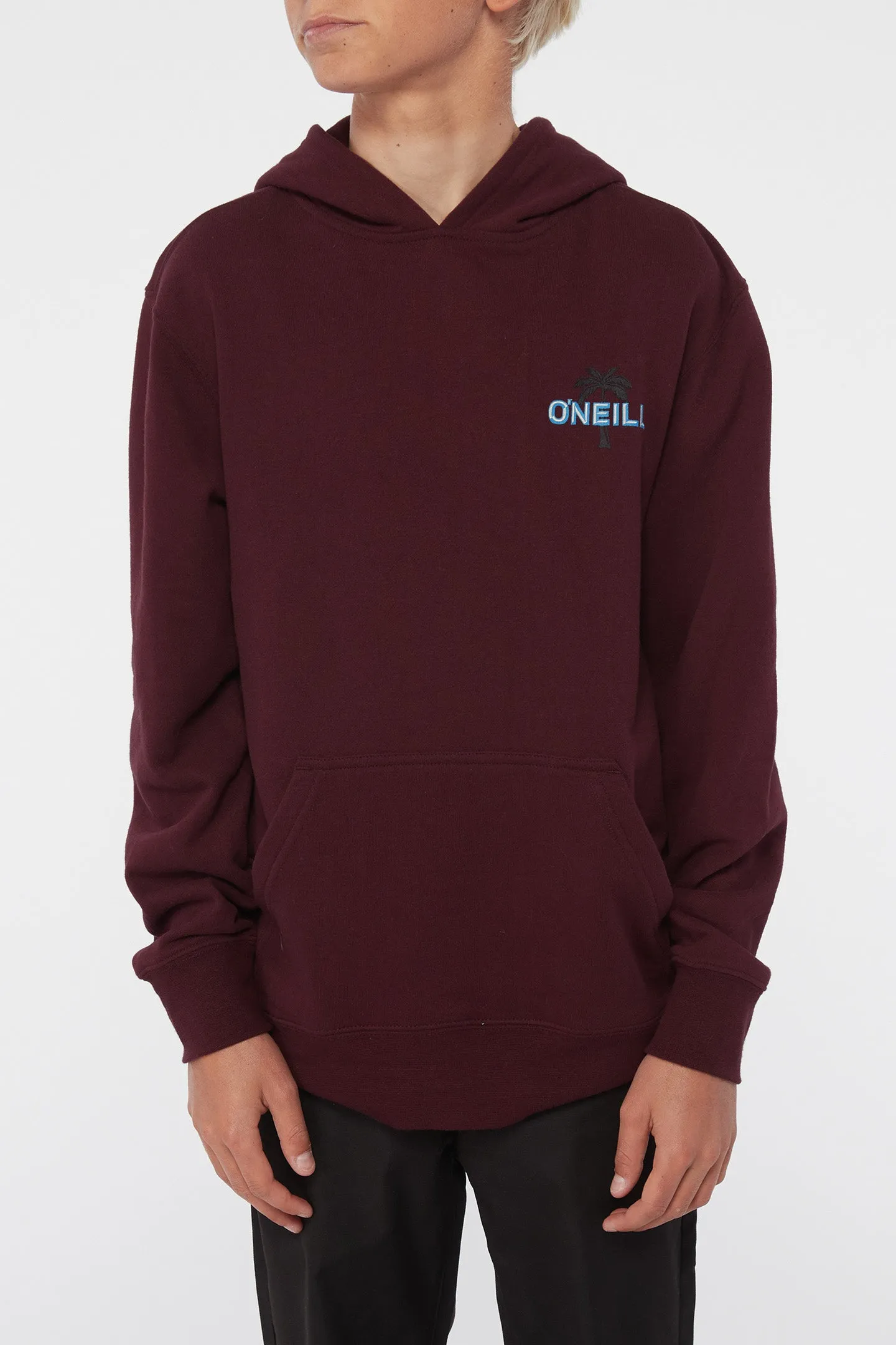 BOY'S FIFTY TWO PRINT FILL PULLOVER FLEECE sold by O'Neill product image thumbnail 2