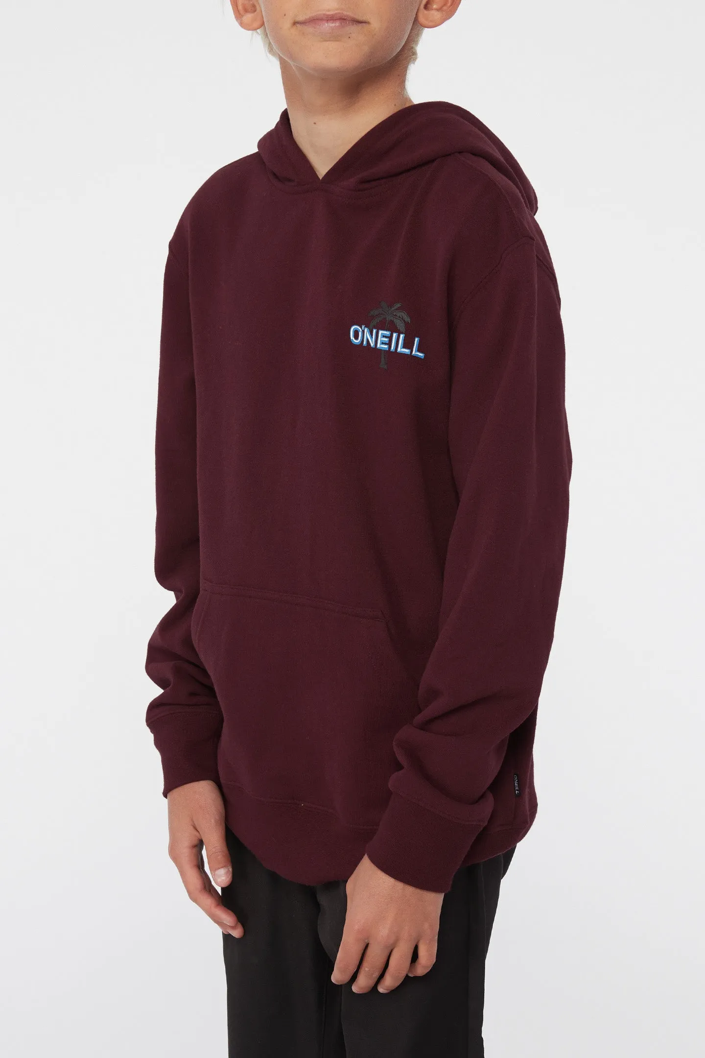 BOY'S FIFTY TWO PRINT FILL PULLOVER FLEECE sold by O'Neill product image thumbnail 4
