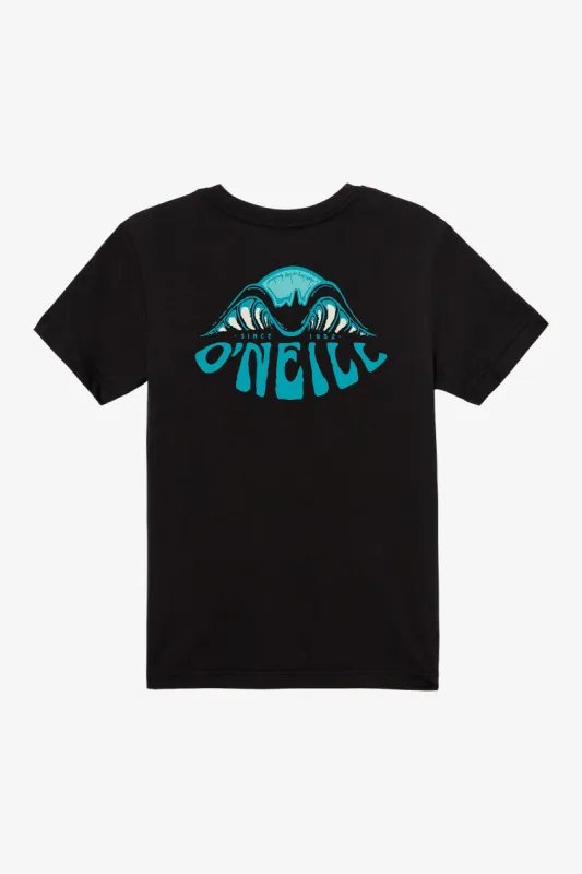 BOY'S A-FRAME TEE sold by O'Neill