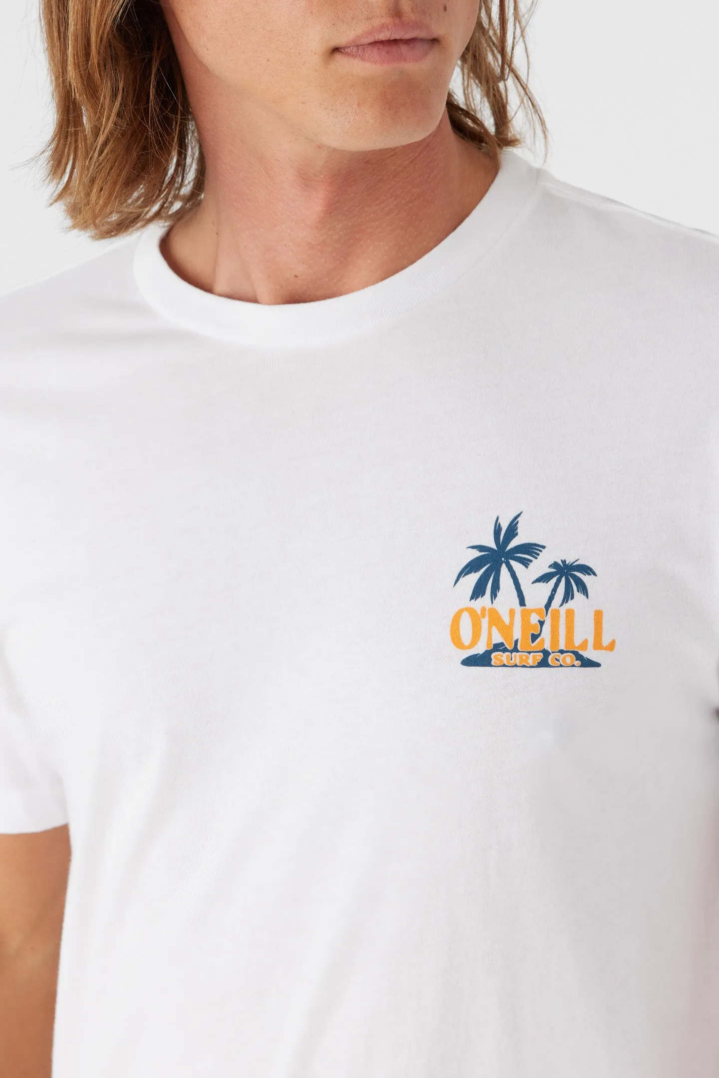 BIRD BRAIN TEE sold by O'Neill product image thumbnail 3