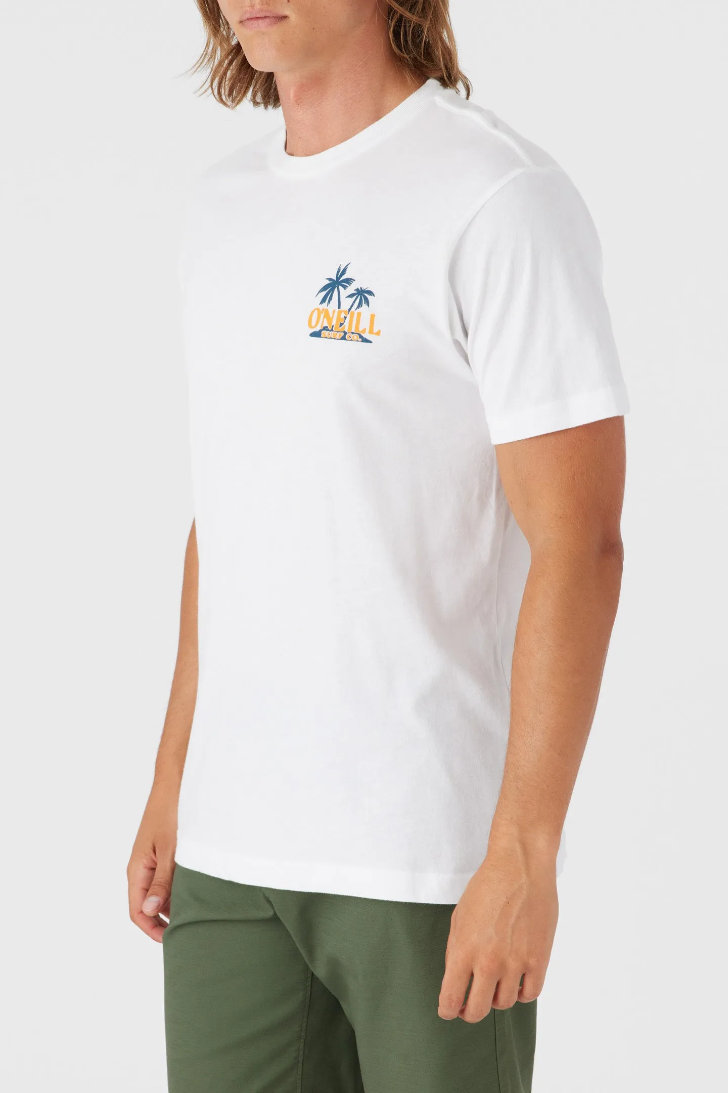 BIRD BRAIN TEE sold by O'Neill product image thumbnail 4