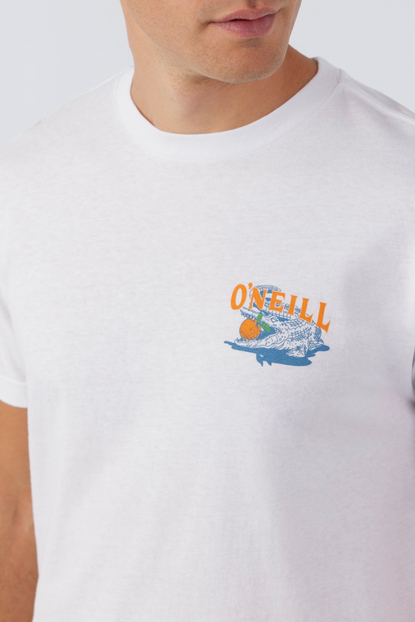 CITRUS STATE TEE sold by O'Neill product image thumbnail 4