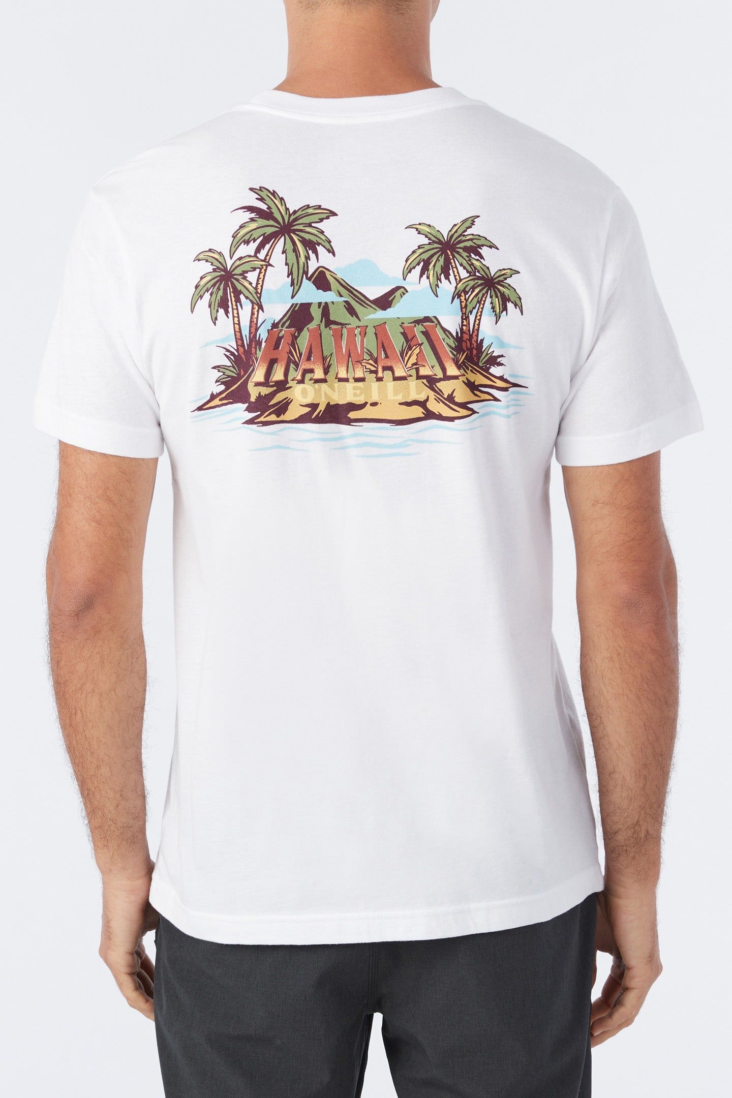 BIG ISLAND TEE sold by O'Neill product image thumbnail 5