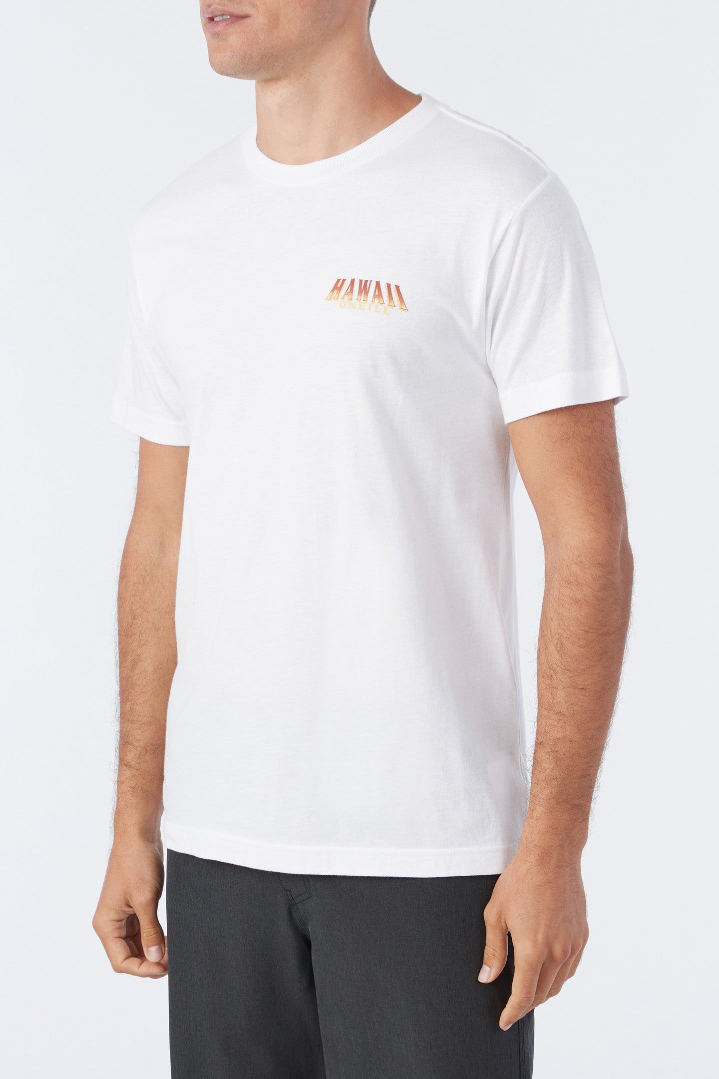 BIG ISLAND TEE sold by O'Neill product image thumbnail 4